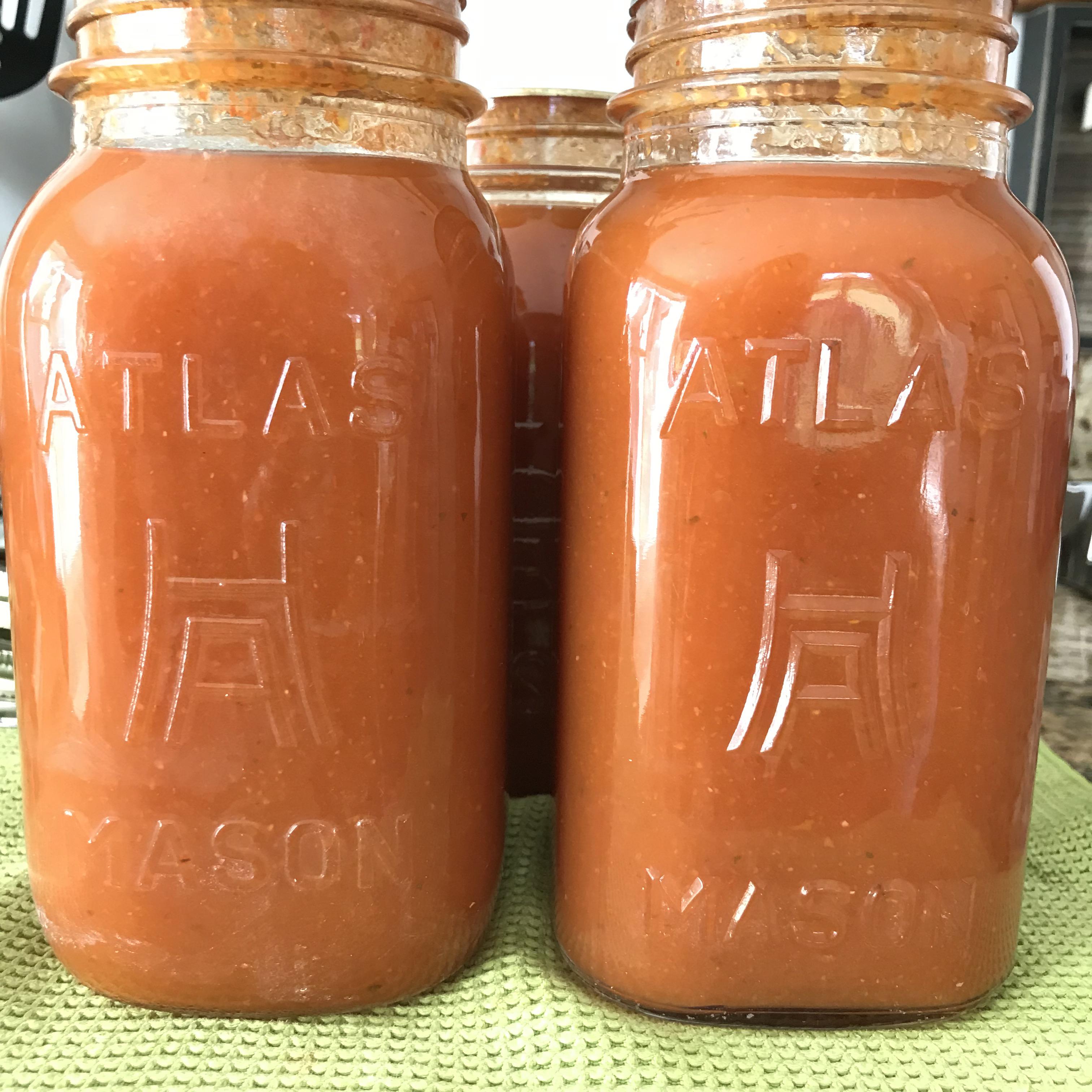 Bloody Mary mix made with fresh veggies. Cheers. r/Canning