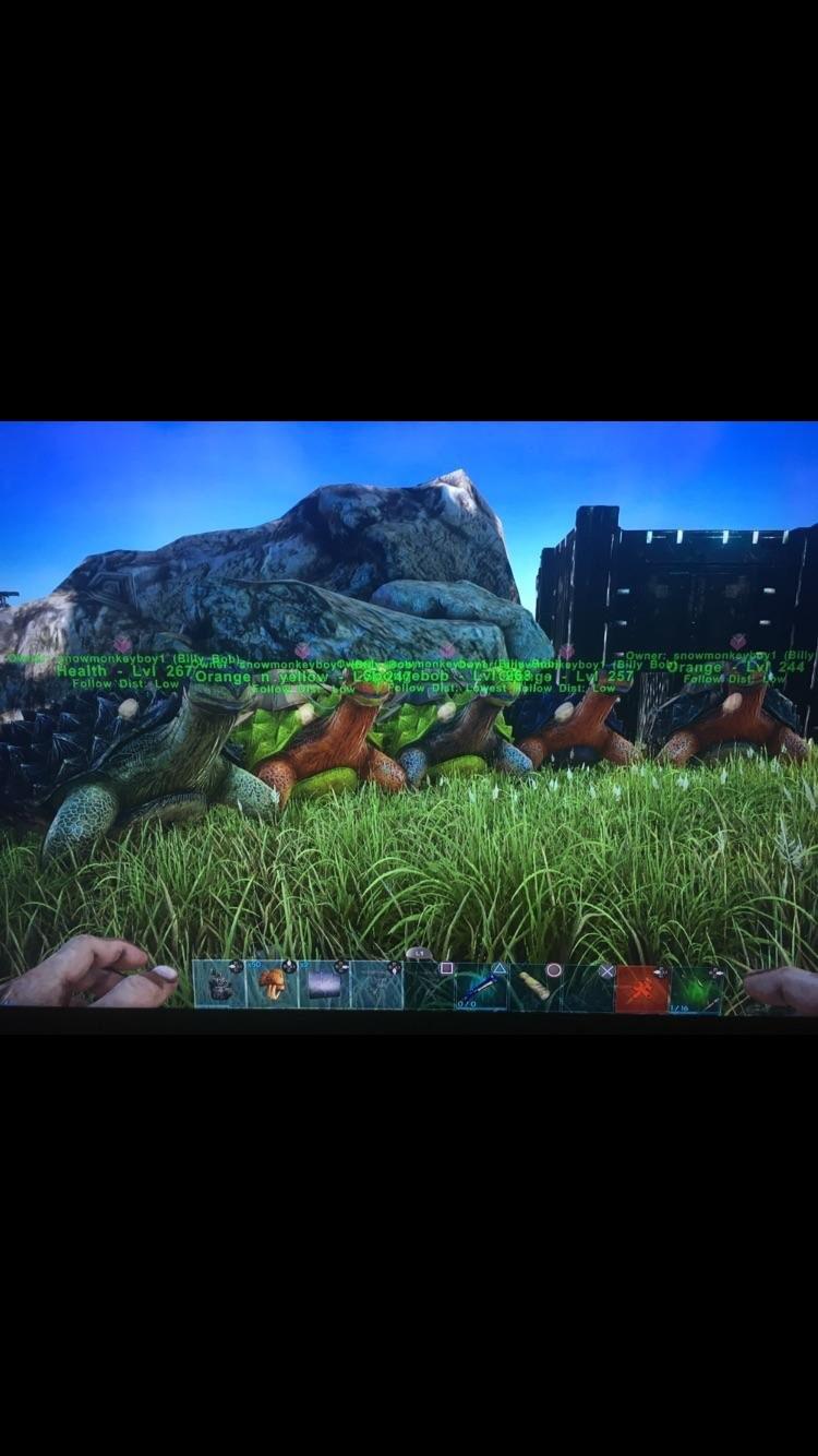 PVP selling eggs from these message me offers
