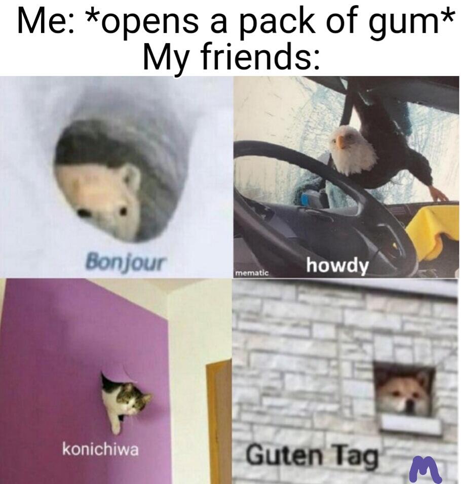 How To Chew 5 Gum Telegraph