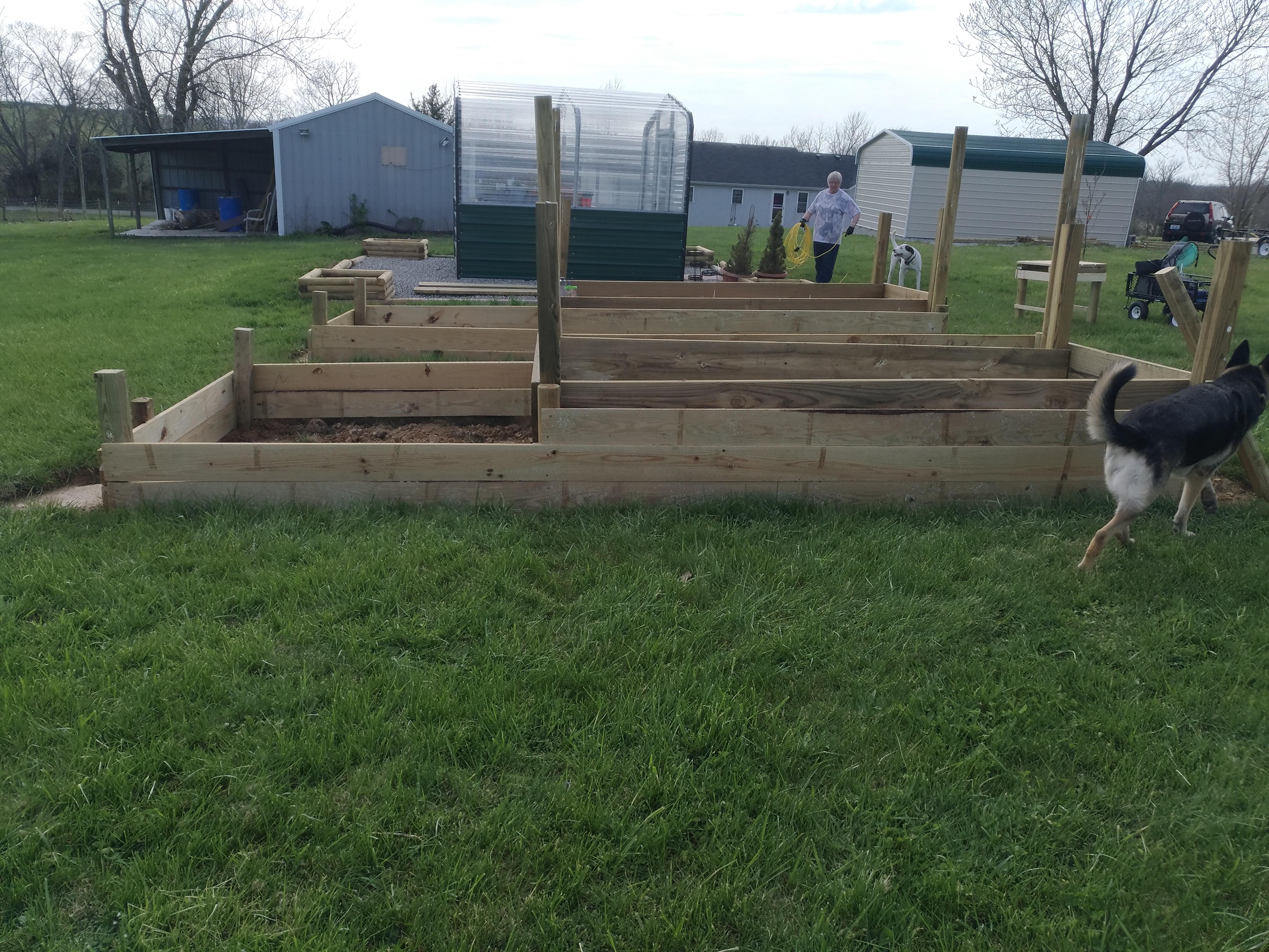 Raised beds are in r/gardening