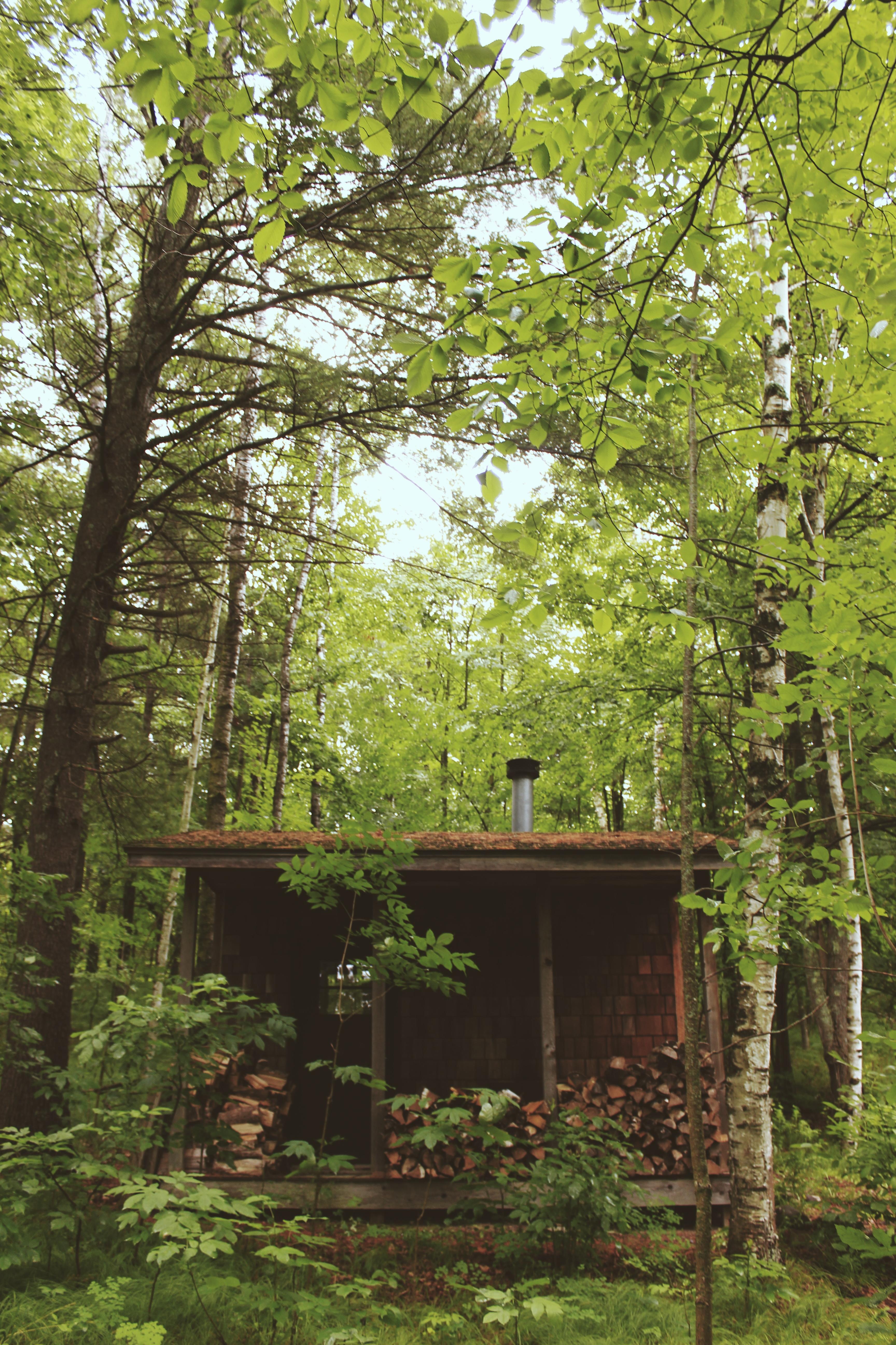 Small sauna in northern Minnesota [3456x5184] r/CabinPorn
