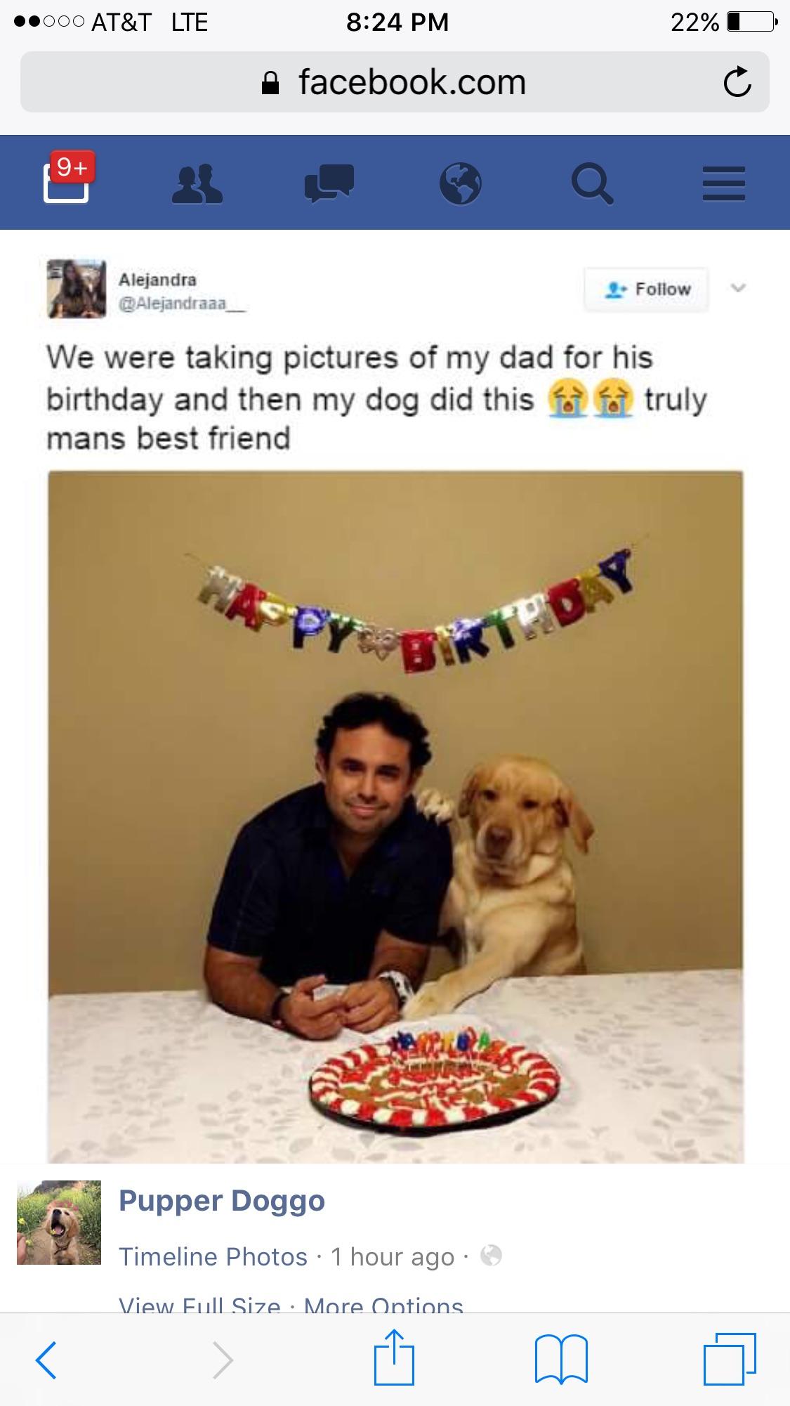 26+ Best Memes Reddit Factory Memes