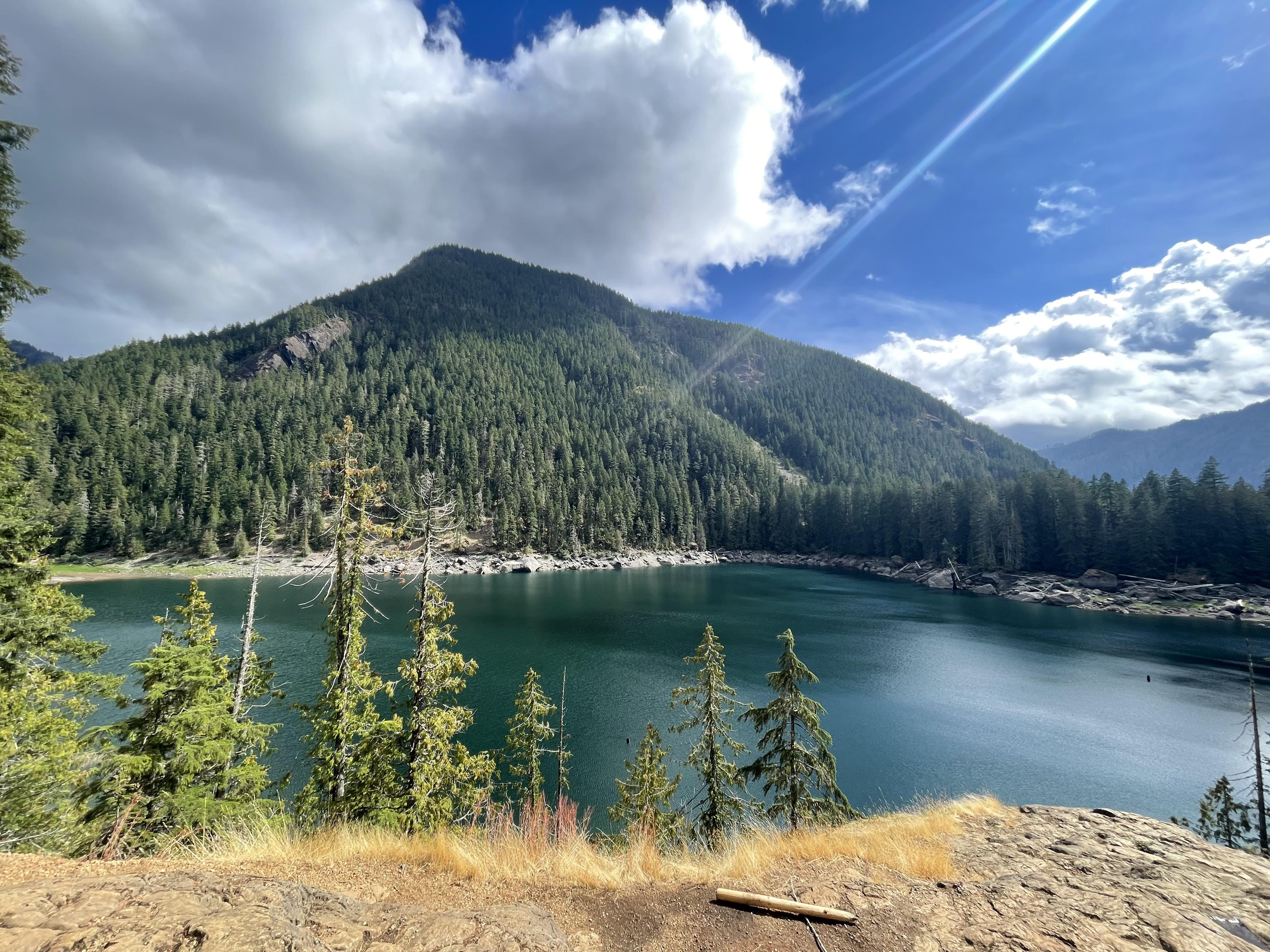 Lower Lena Lake Trail, Olympic National Forest r/Washington