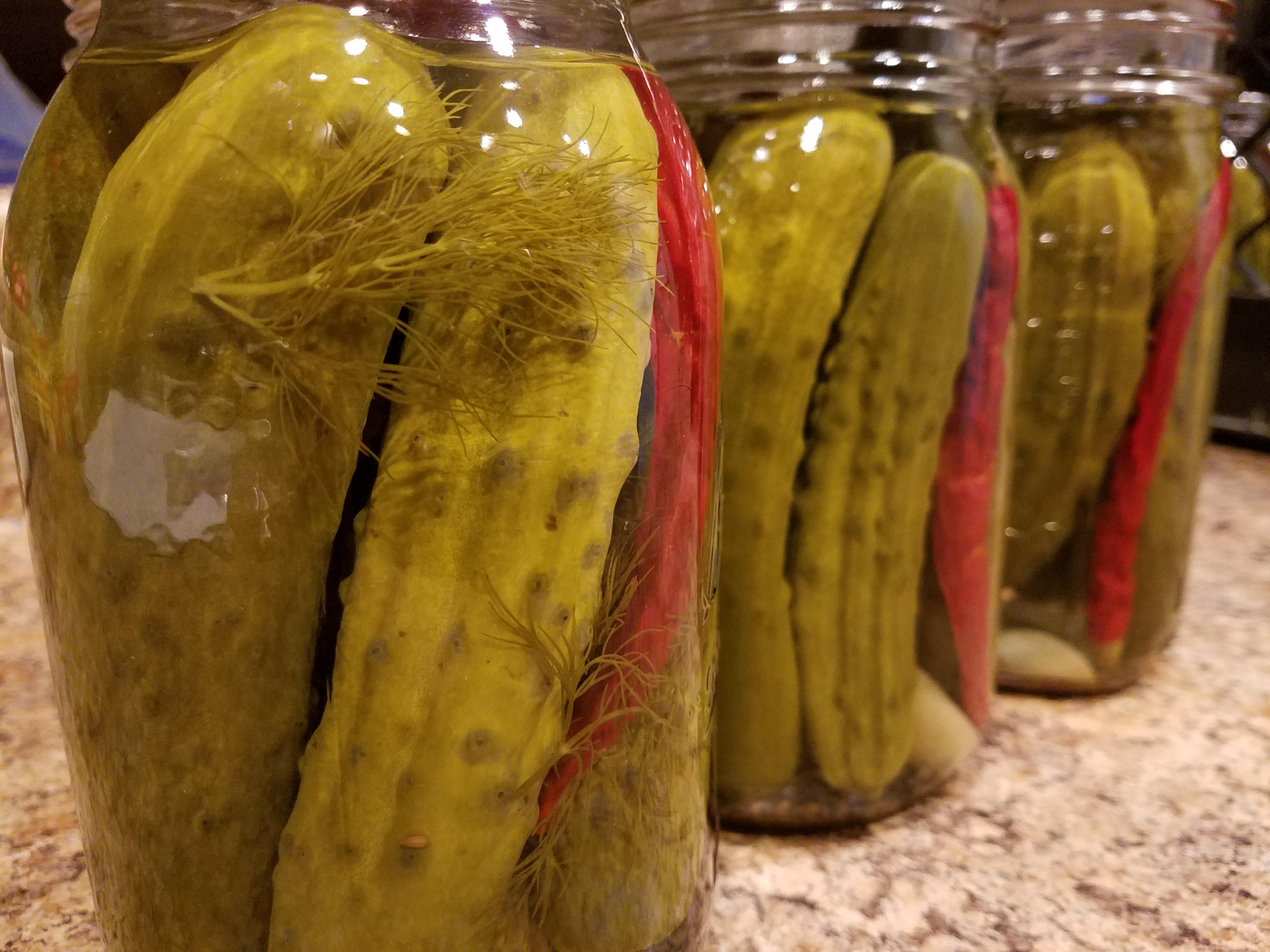 Spicy dill pickles r/Canning