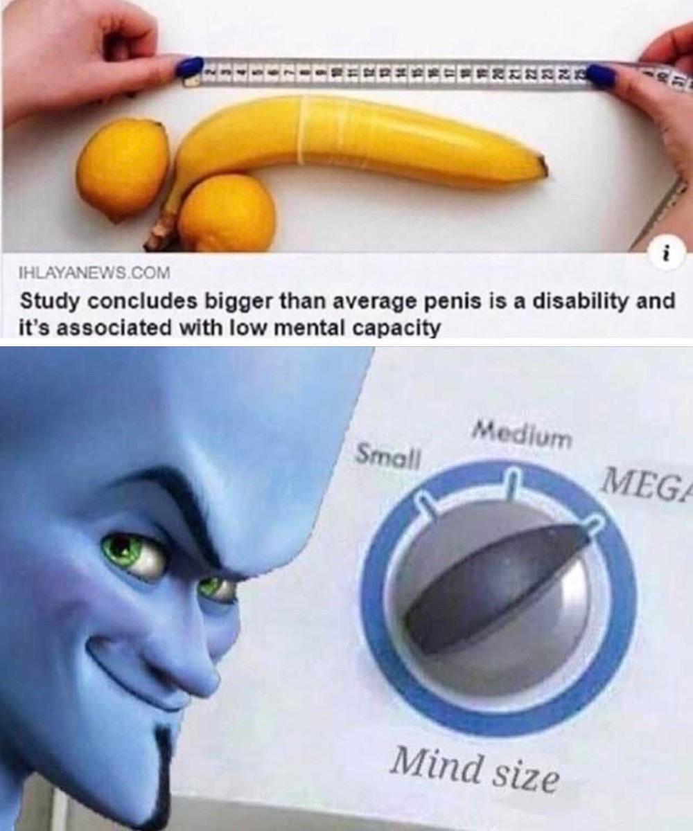 overview for LaCreamy