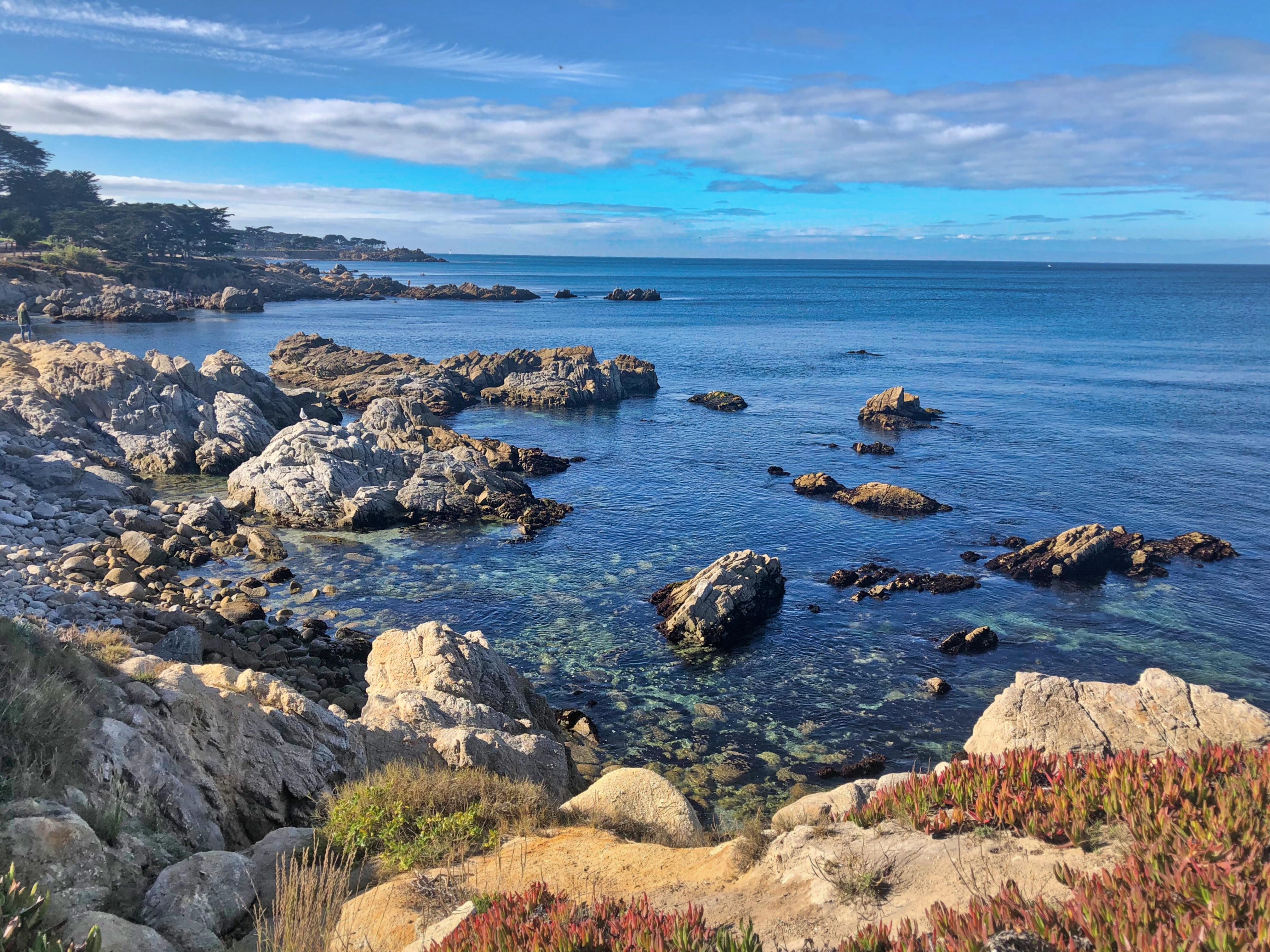 Monterey Bay California [4032x2034] [OC] r/EarthPorn