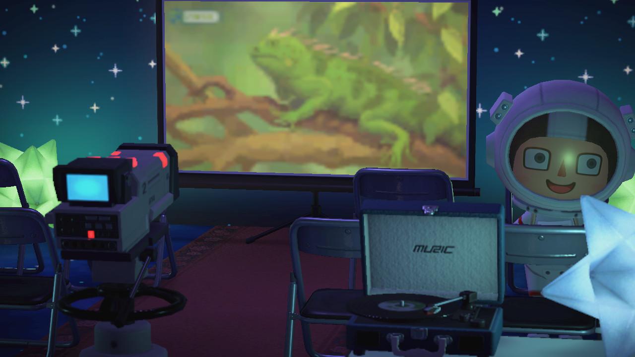 The projector screen also works as a T.V, an excellent option for an