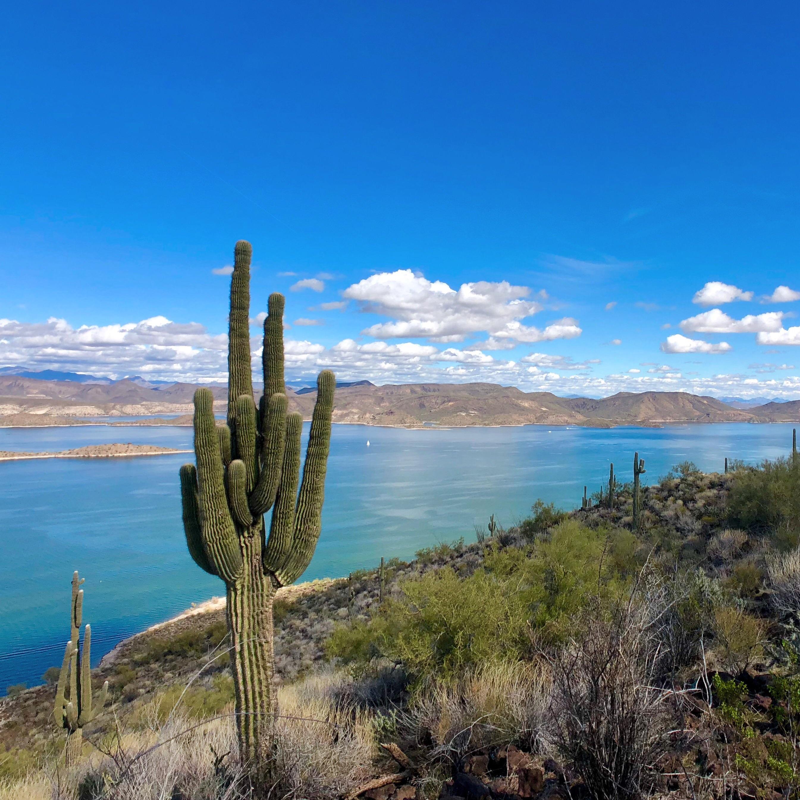 List 92+ Pictures Pictures Of Lake Pleasant Az Excellent