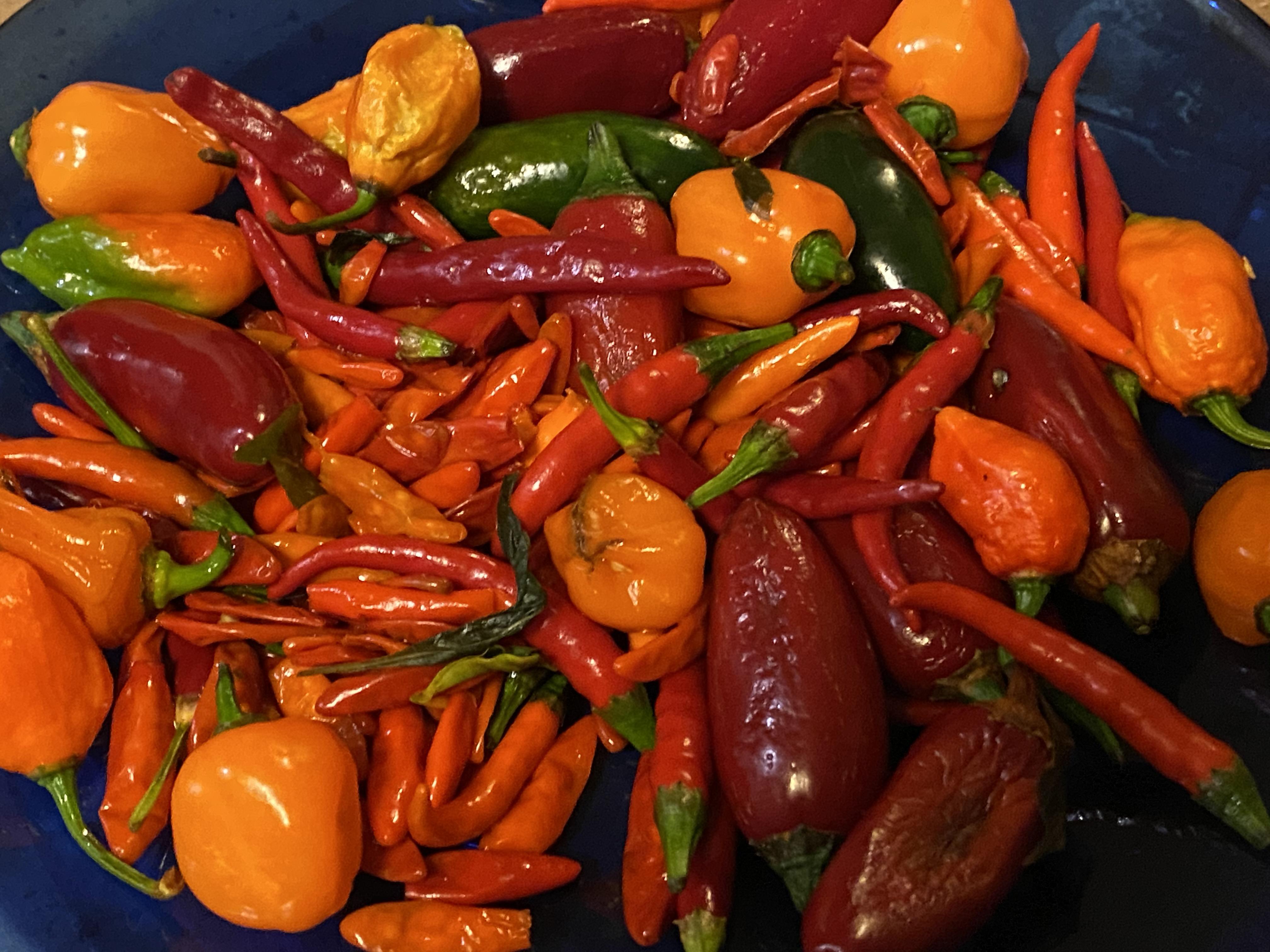 Ghost peppers, habaneros, chipotles, jalapeños, and tabasco peppers. I