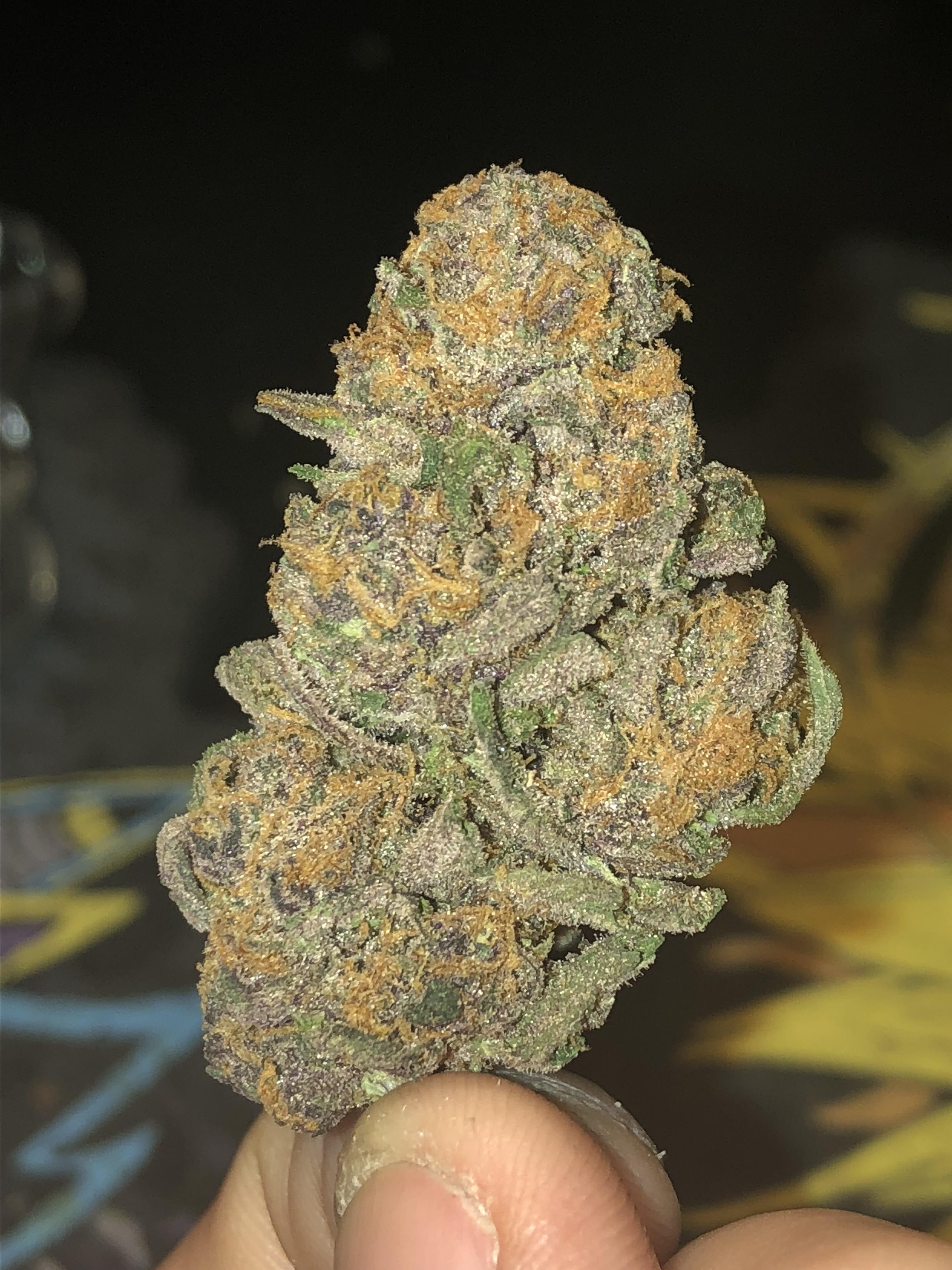 Forbidden Fruit — probably my new favorite strain. What’s your favorite