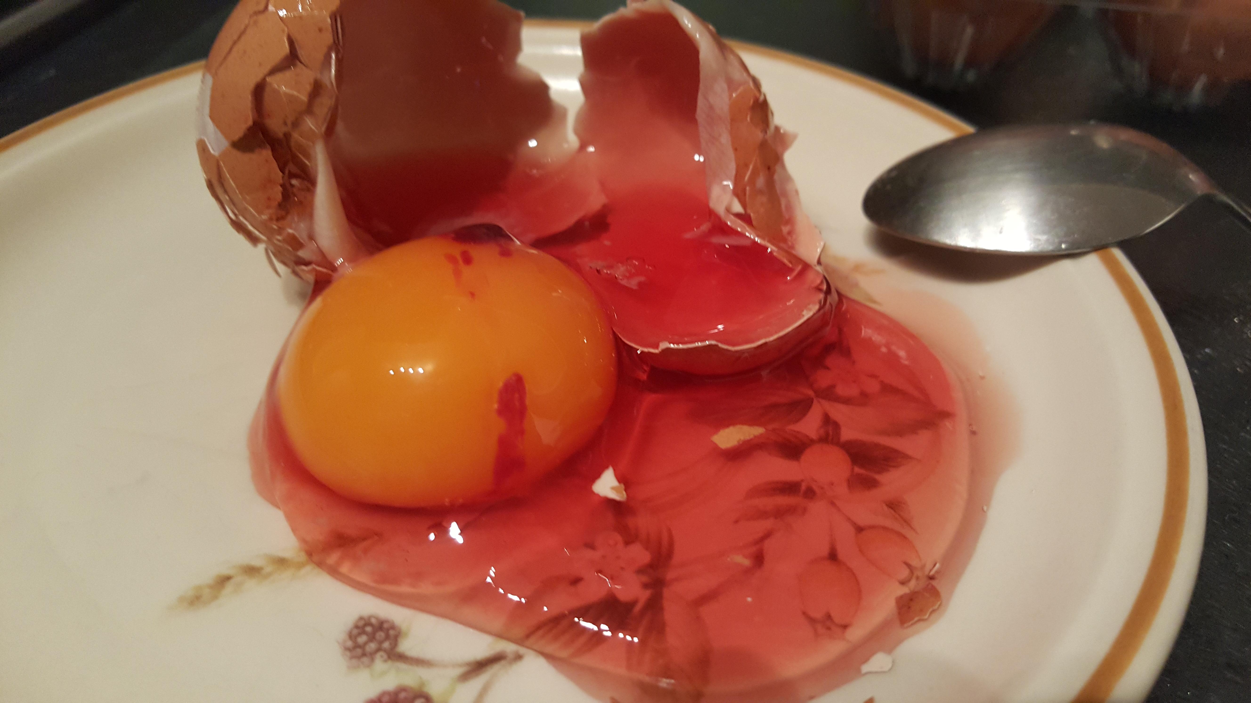 12 best u/herpaderpadumdum images on Pholder Monster Girl, Anime Irl and Animemes