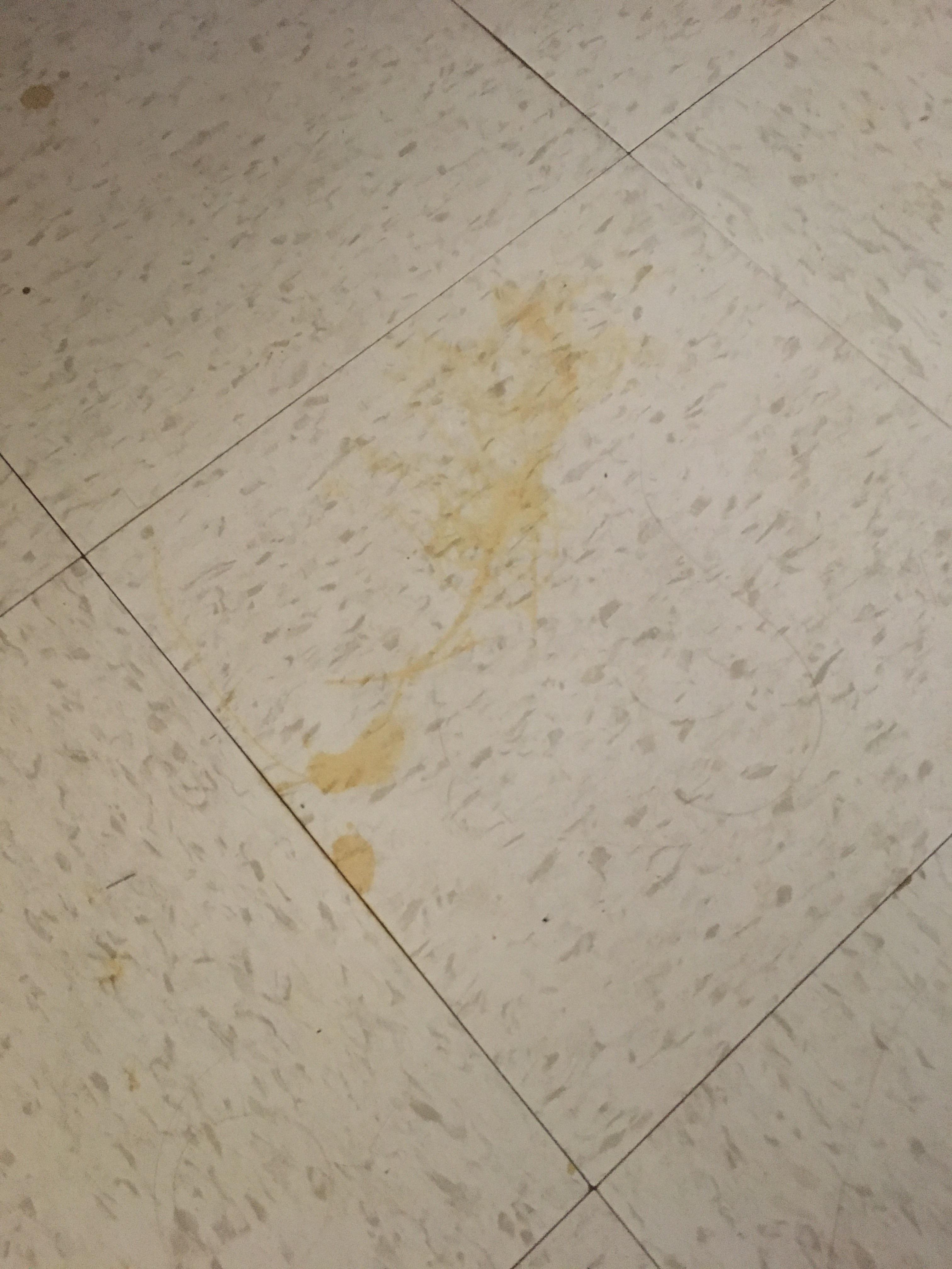 How to get this oil stain off of linoleum? r/CleaningTips