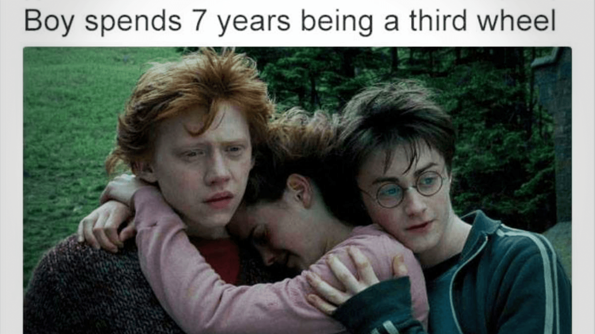 Third Wheel r/harrypotter