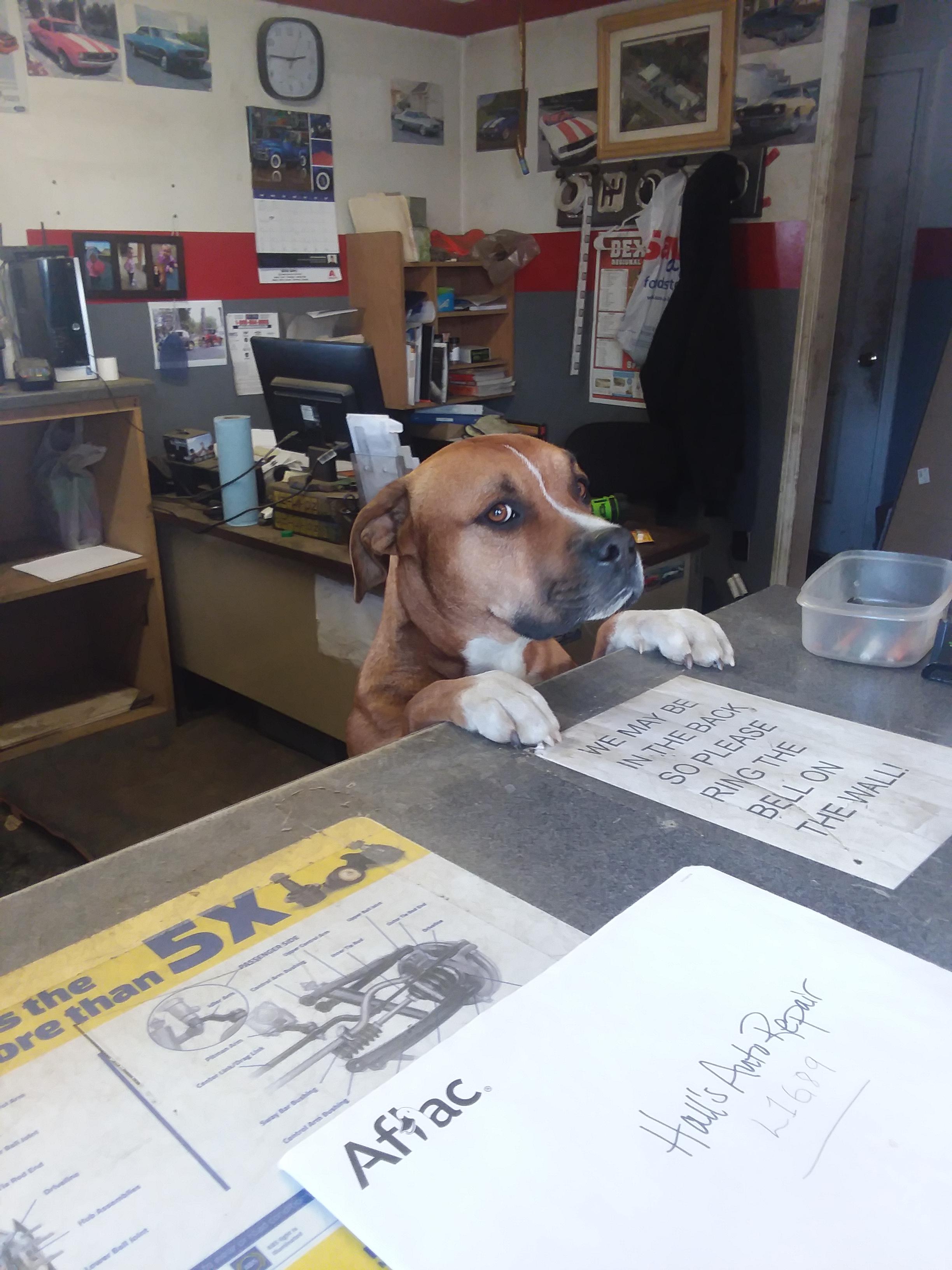 Pets At Home Customer Service 2024
