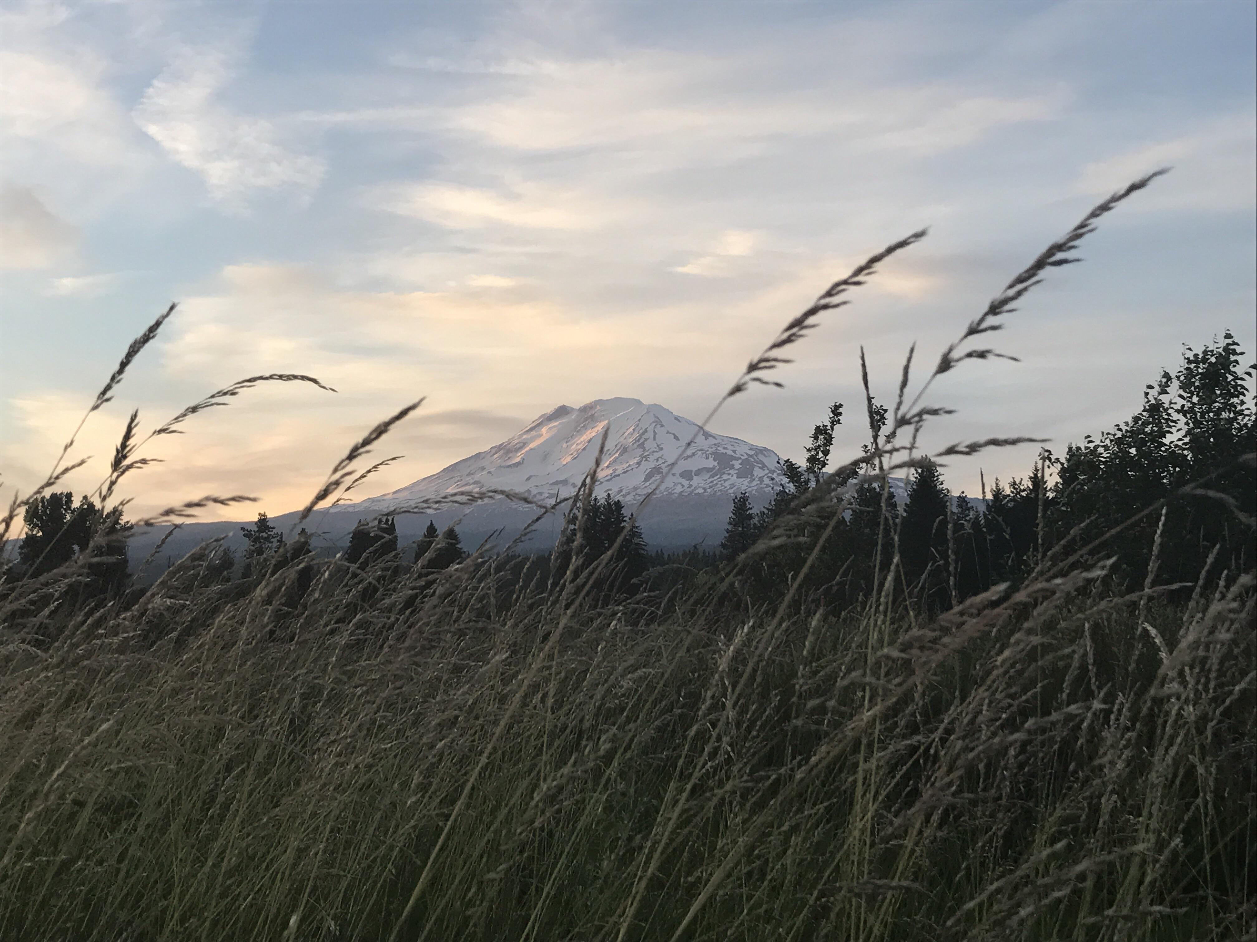 Mt Adams, southern Washington. [4000 x 3000] r/EarthPorn