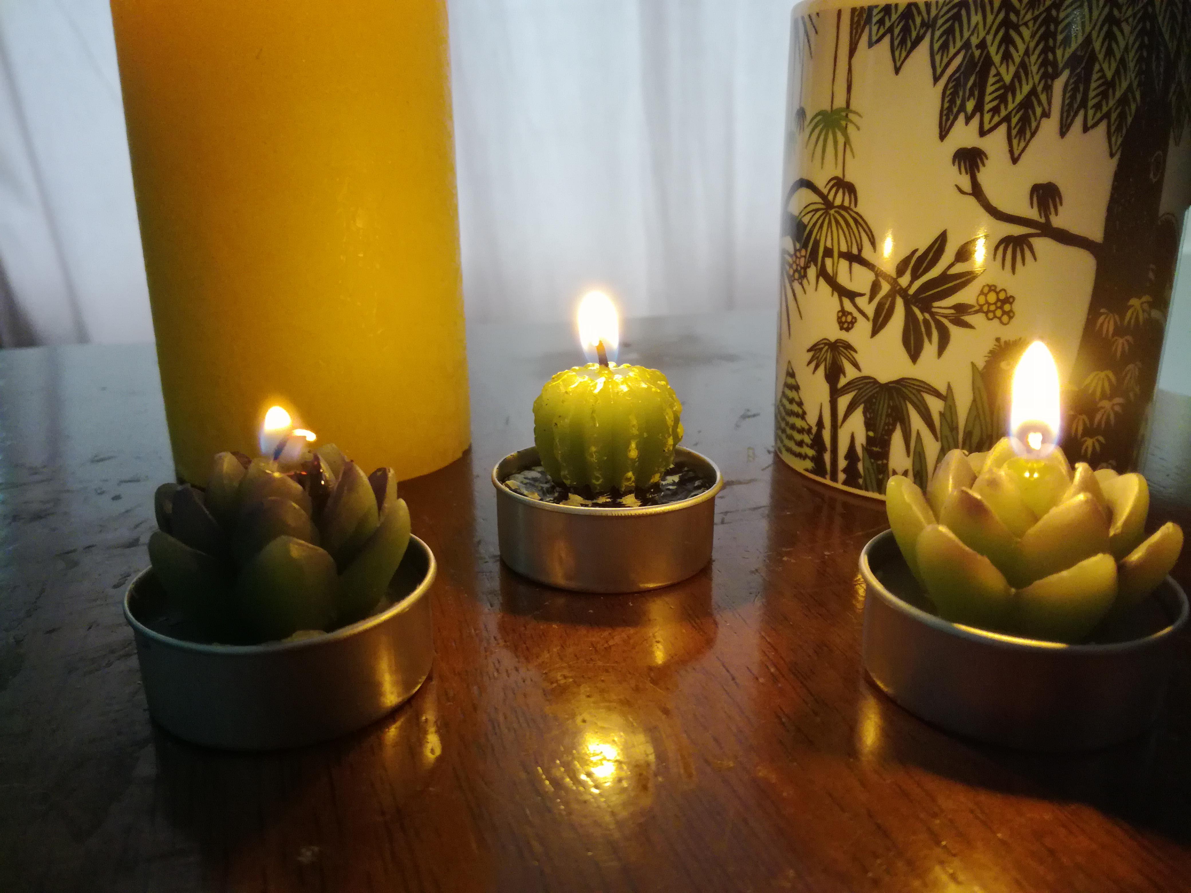 I found these candles at Flying Tiger today. r/succulents