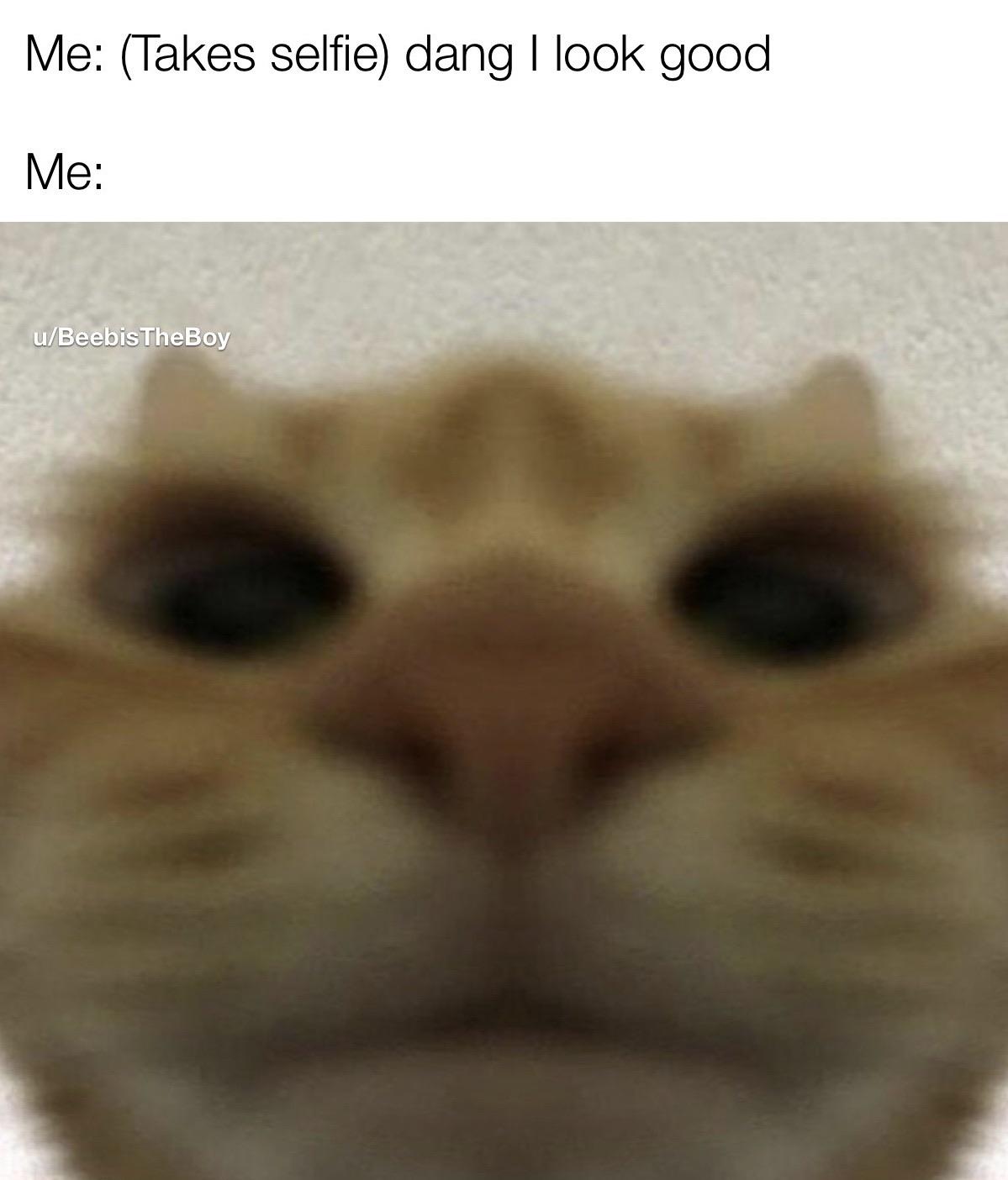 I look so good. r/memes