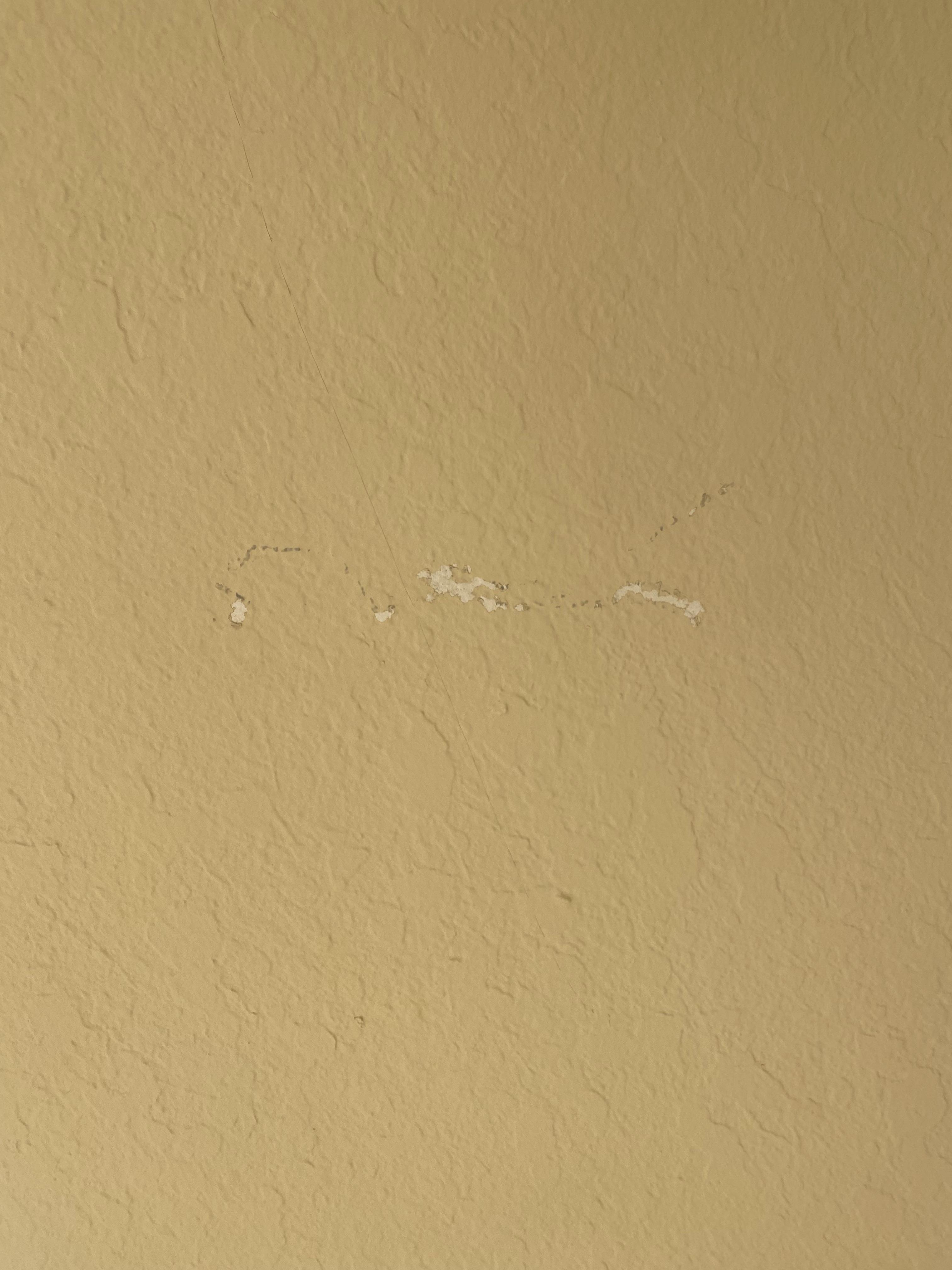 Movers damaged the wall, can I simply paint over this or do I need to