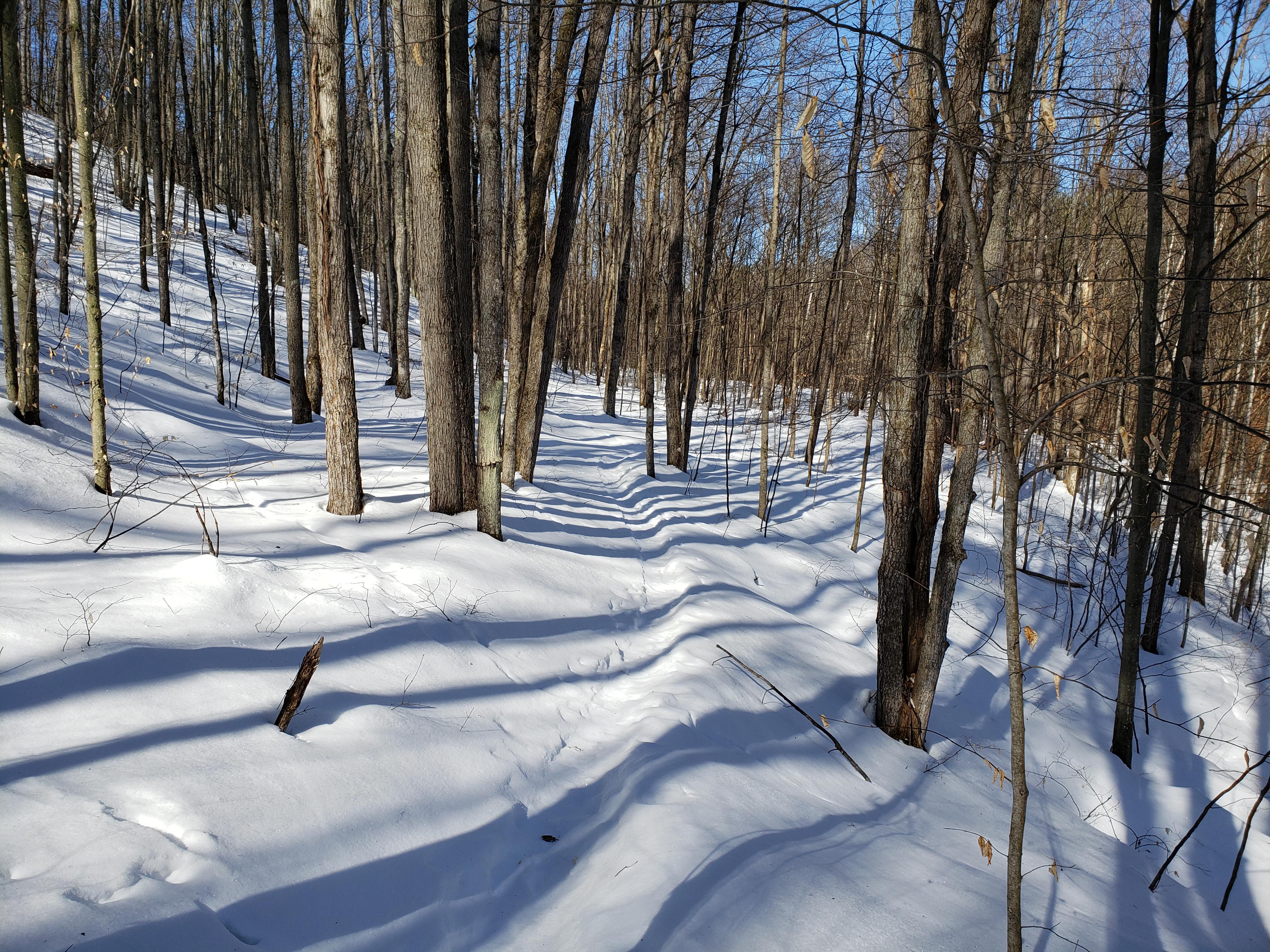 Dispersed camping in west Michigan (preferably north of Grand Rapids