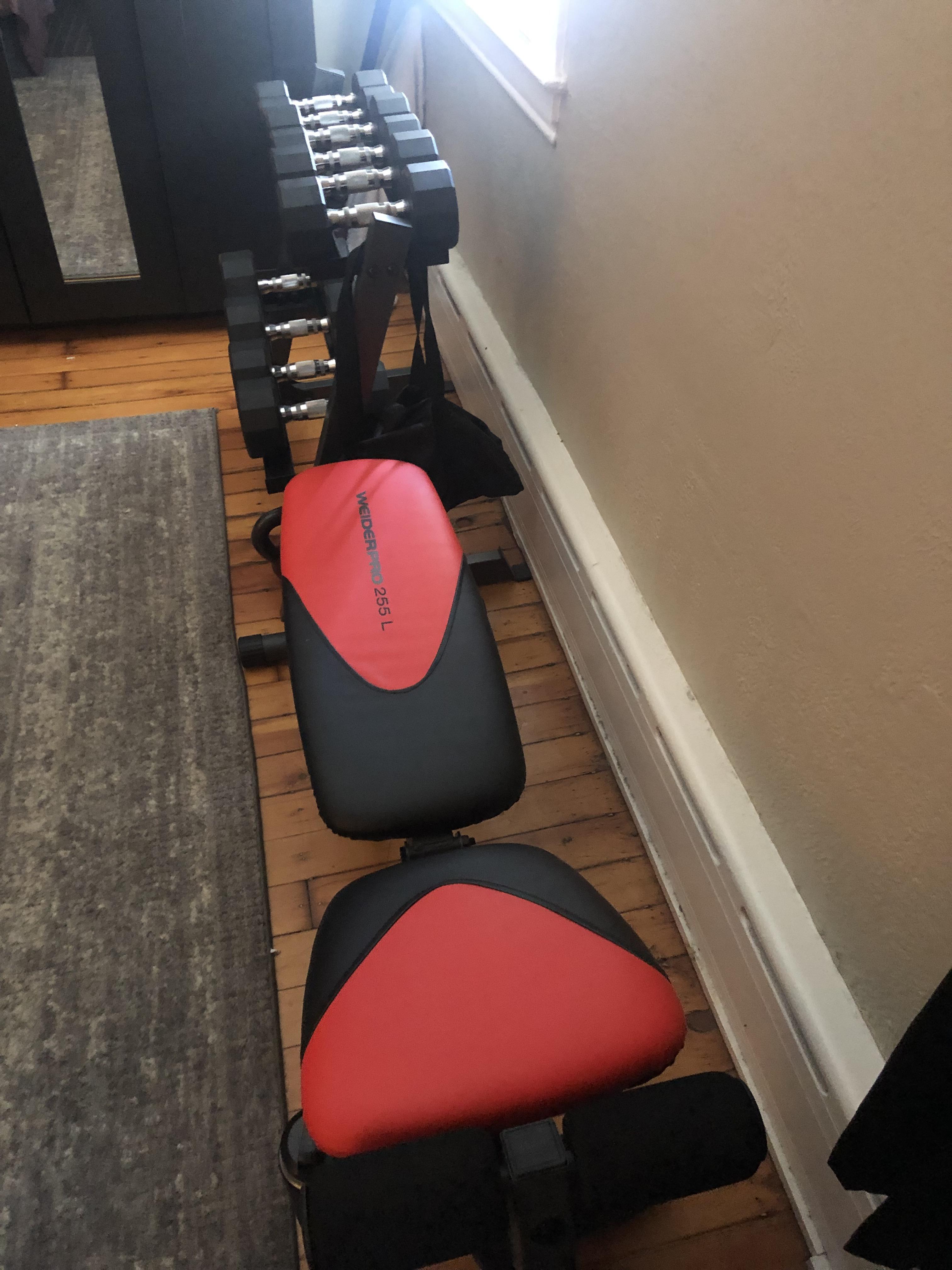 Under 175 to put together my very small apartment workout area. r