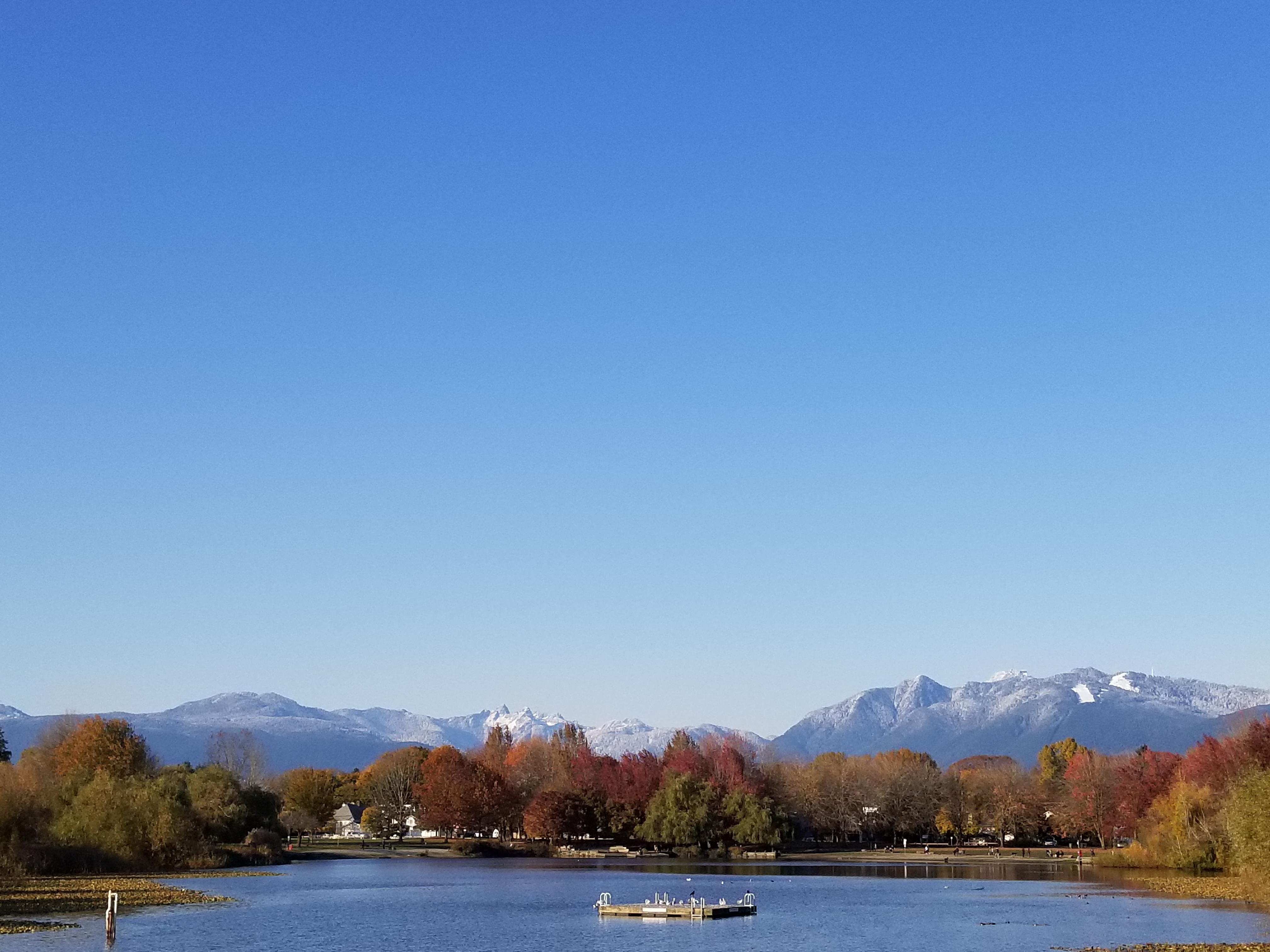 Trout lake vancouver r/vancouver