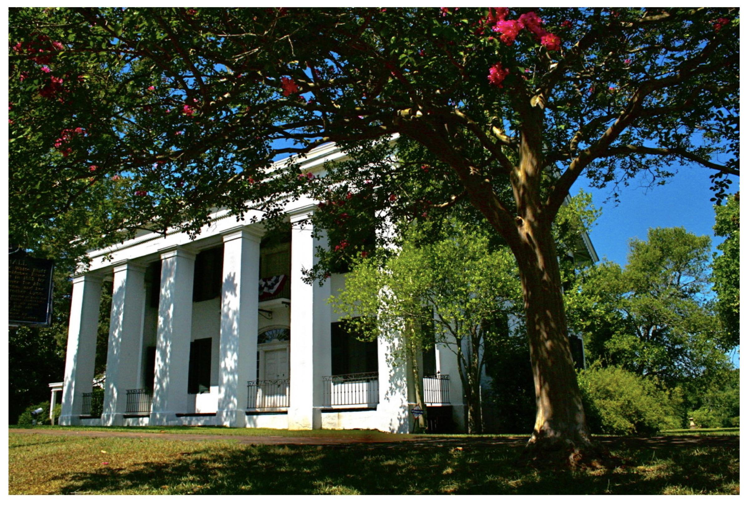 A photo I took of the Bluff Hall House in Demopolis, Alabama (came out looking like a post card