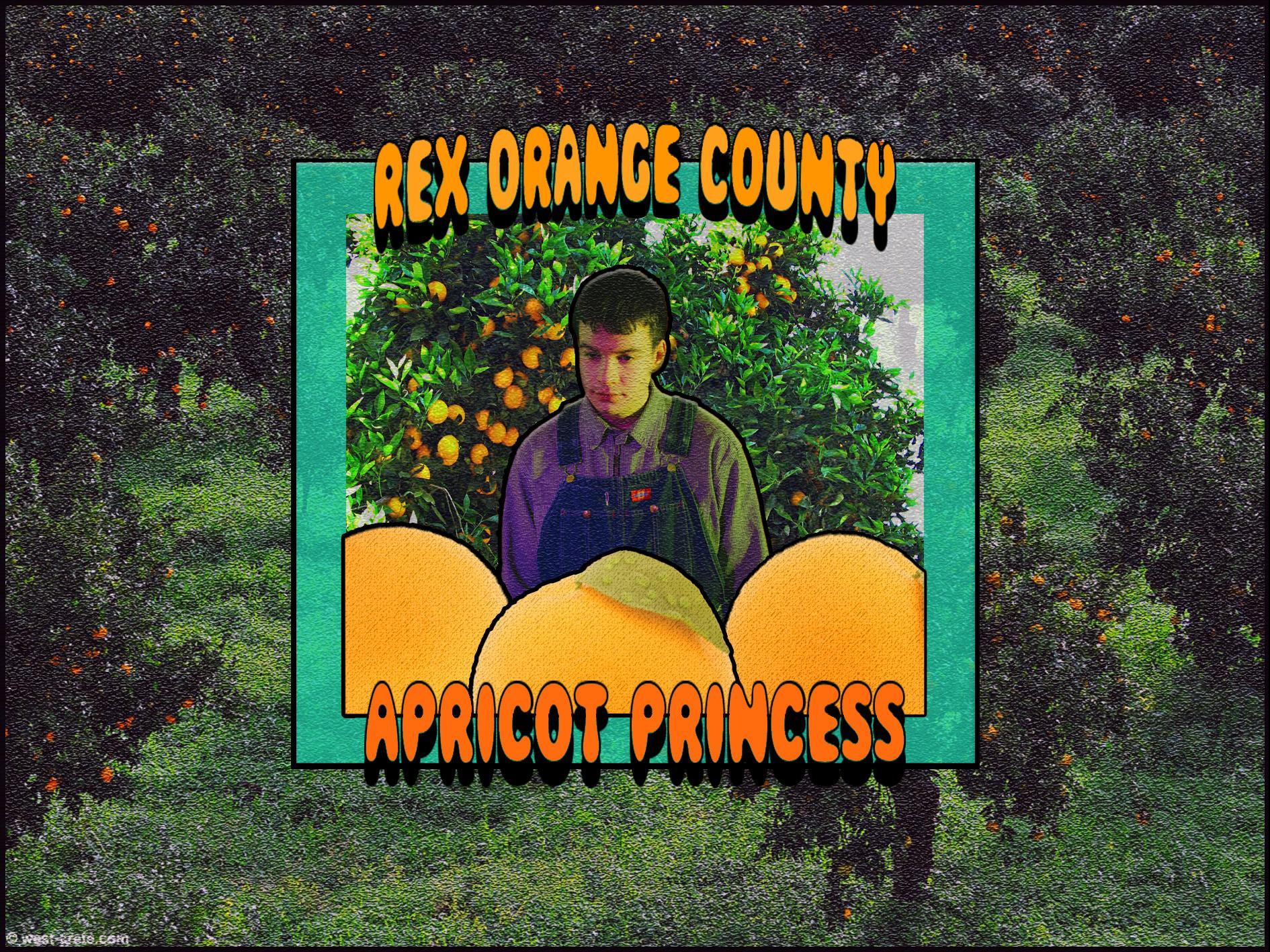 Rex Orange County Apricot Princess r/freshalbumart