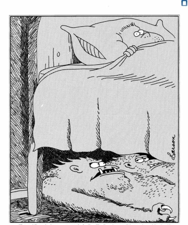 The Far Side HeSaidWhat