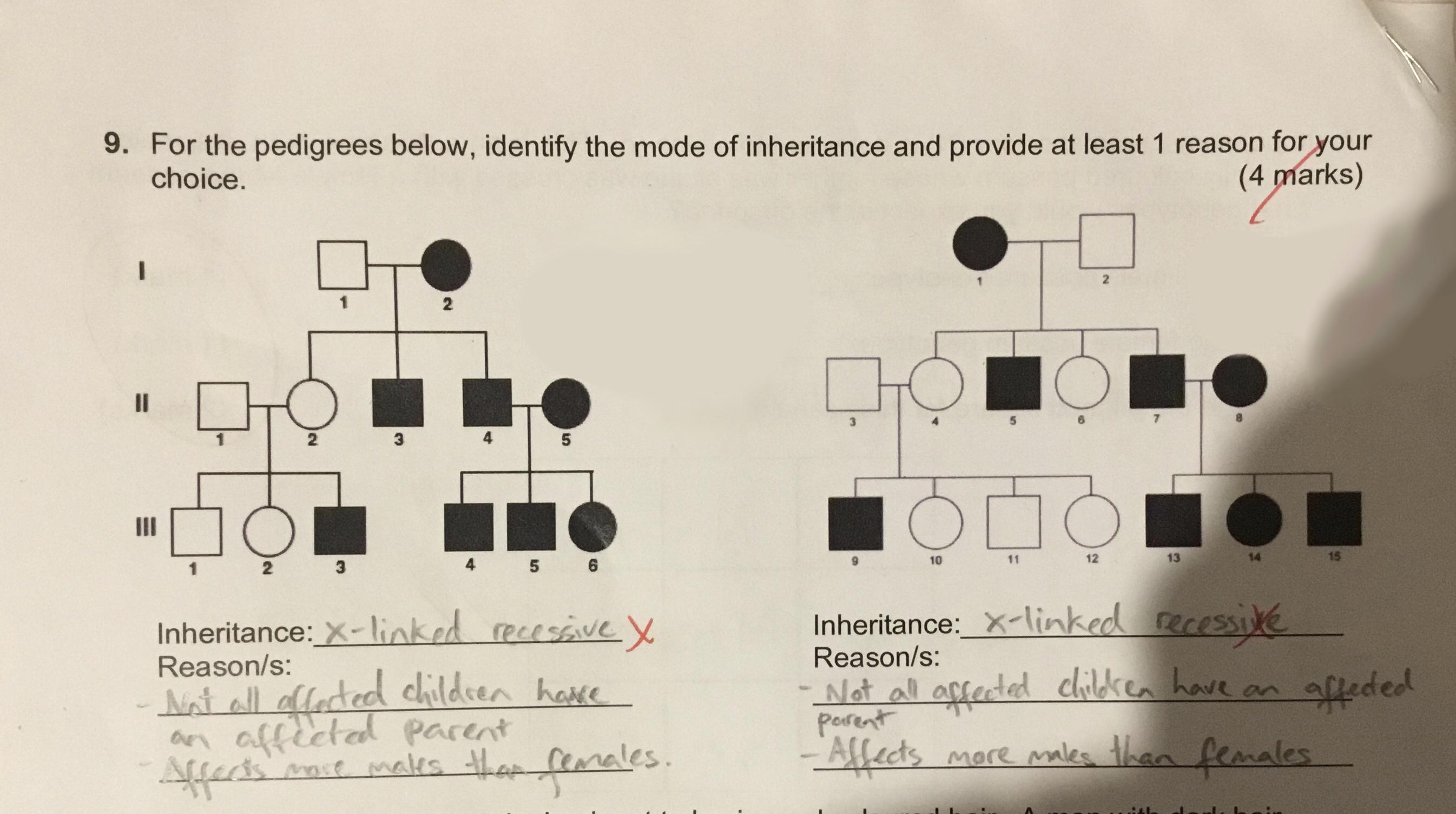 41 Hilarious Pedigree Chart Puns Punstoppable 🛑