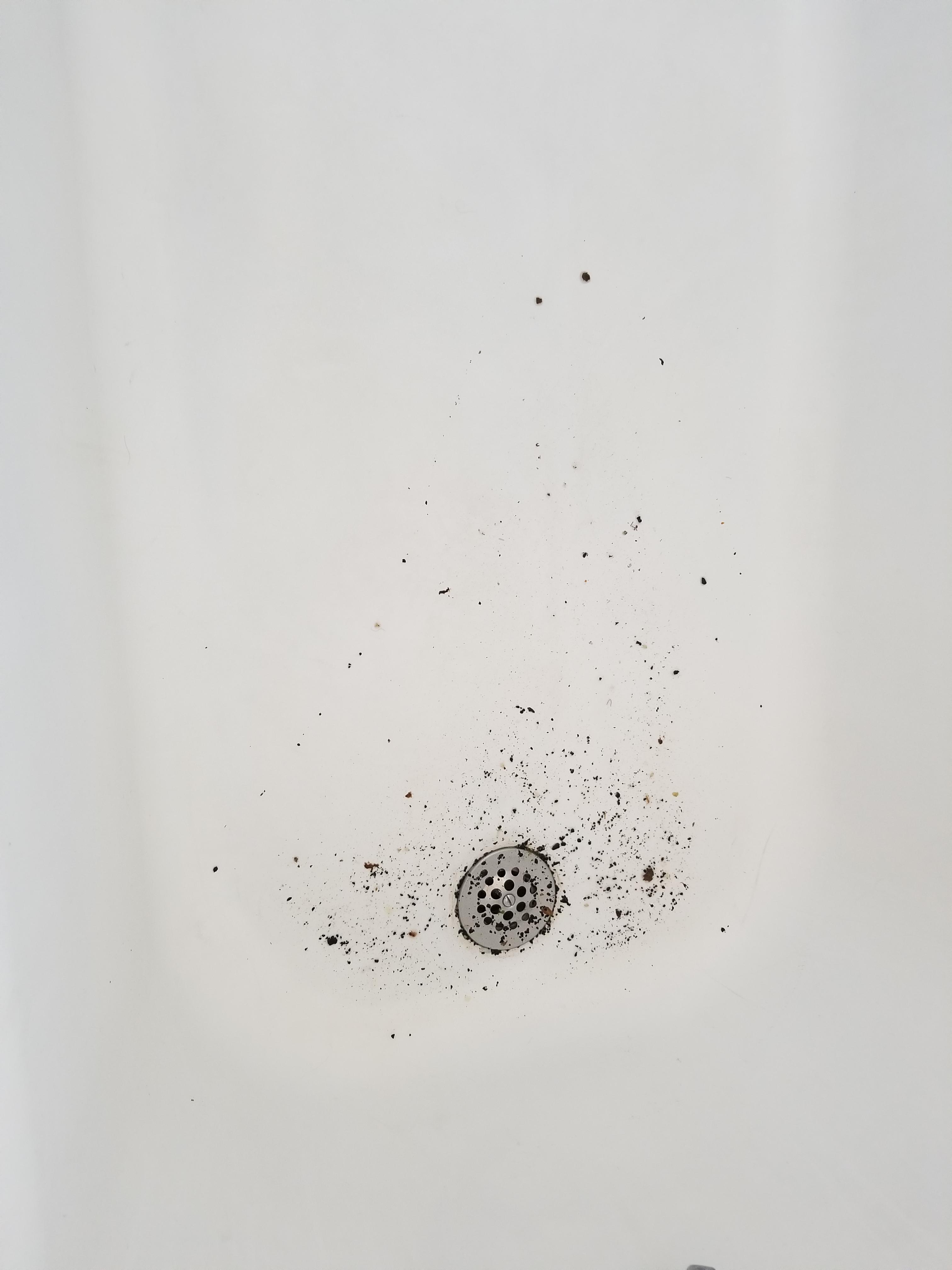 Weird Shower Grime r/whatisthisthing