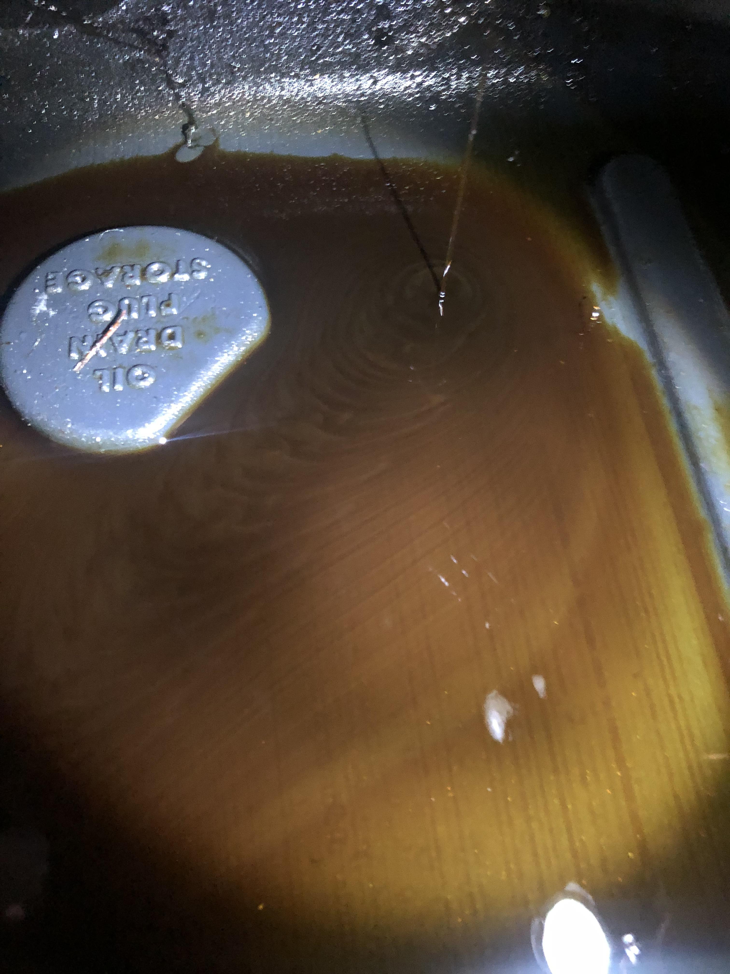 Glitter in oil? Is this a sign of a bad engine? This is the last little