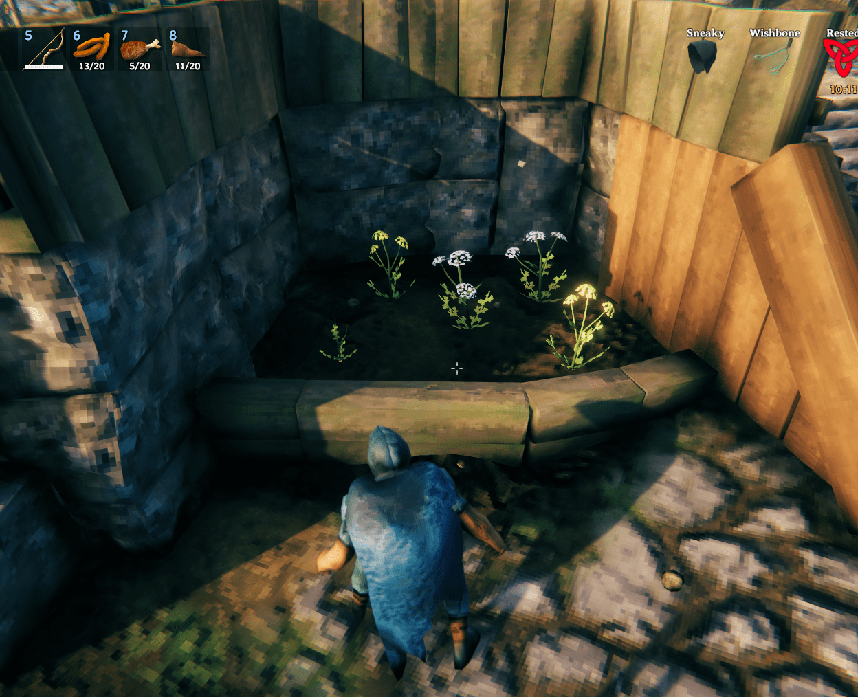 Protip plant veggies and don't pick them for raised flower beds r