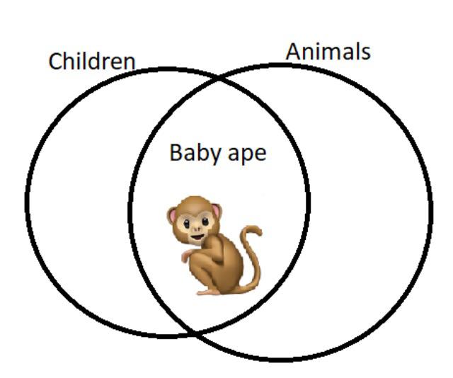 Made a Venn diagram : r/BBBY