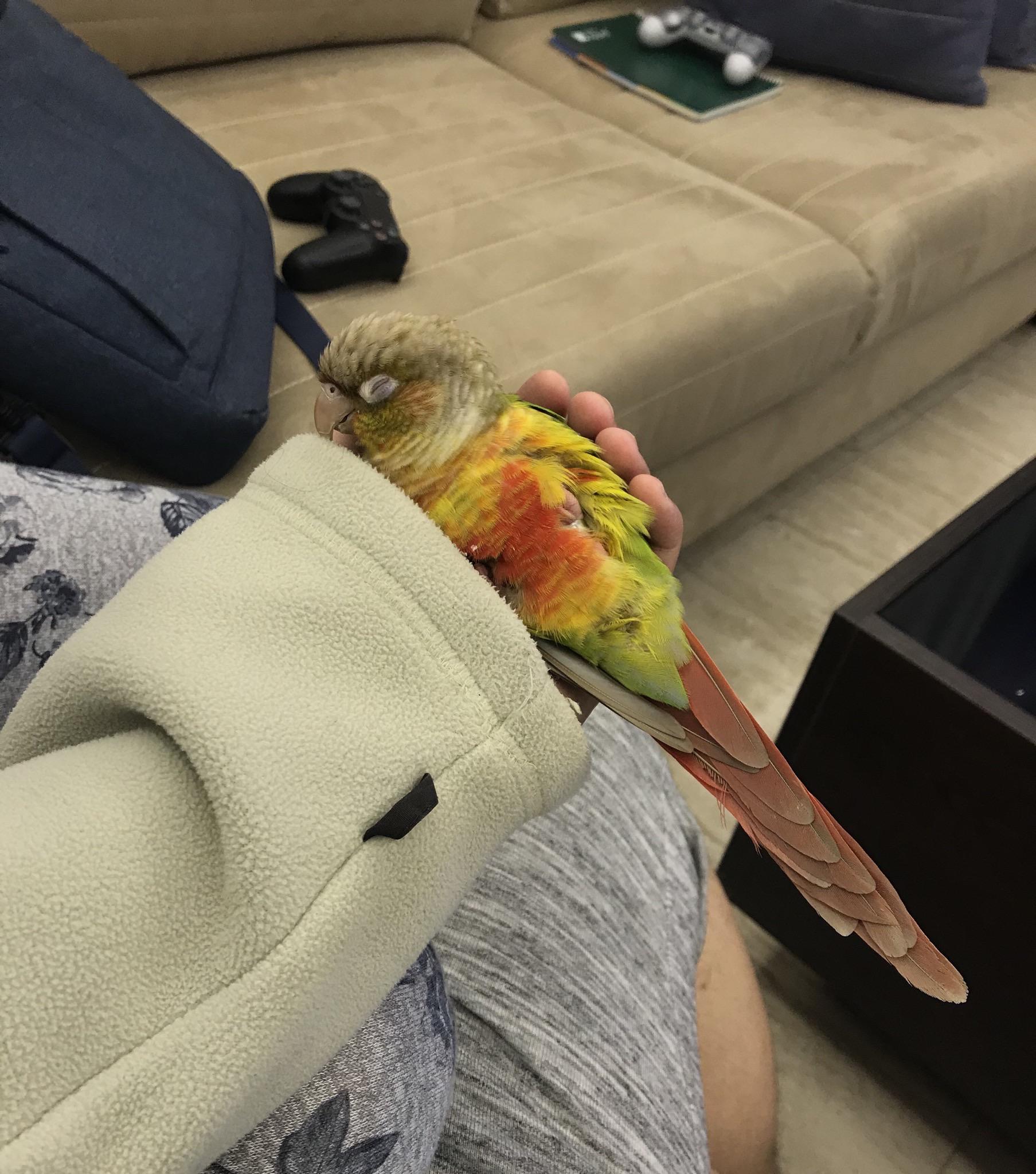 I can't even move my hand thisismylifenow