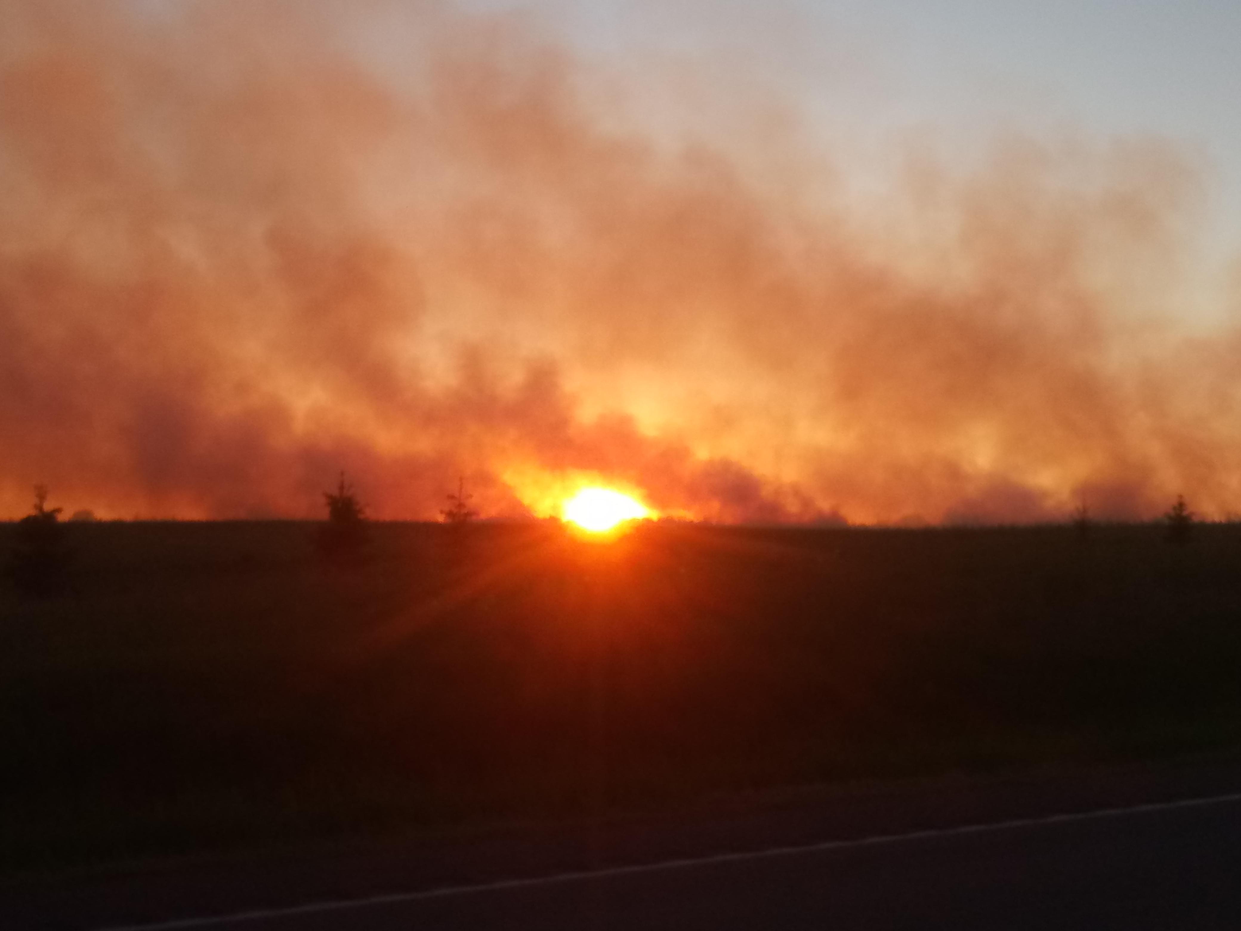 A sunset? A fire? Who knows? Dalbo MN r/minnesota