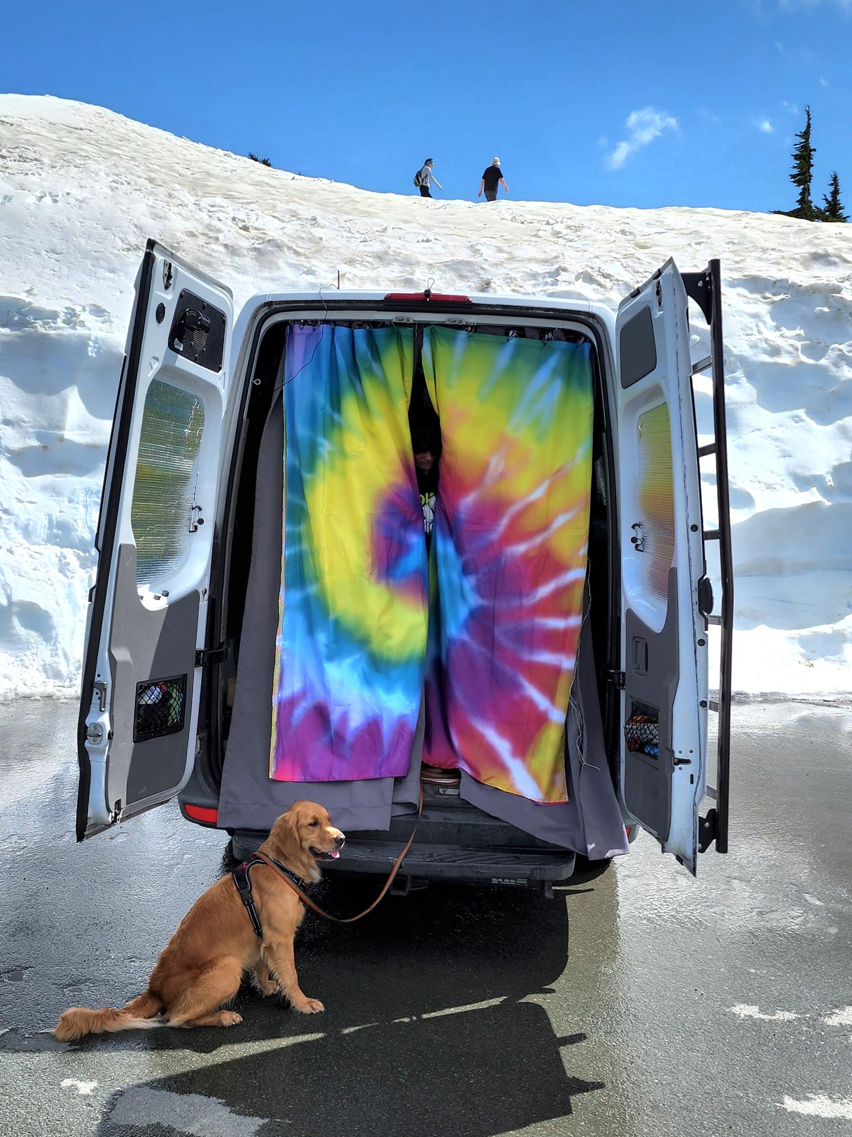2909 best Vanlife images on Pholder Vandwellers, Van Life and