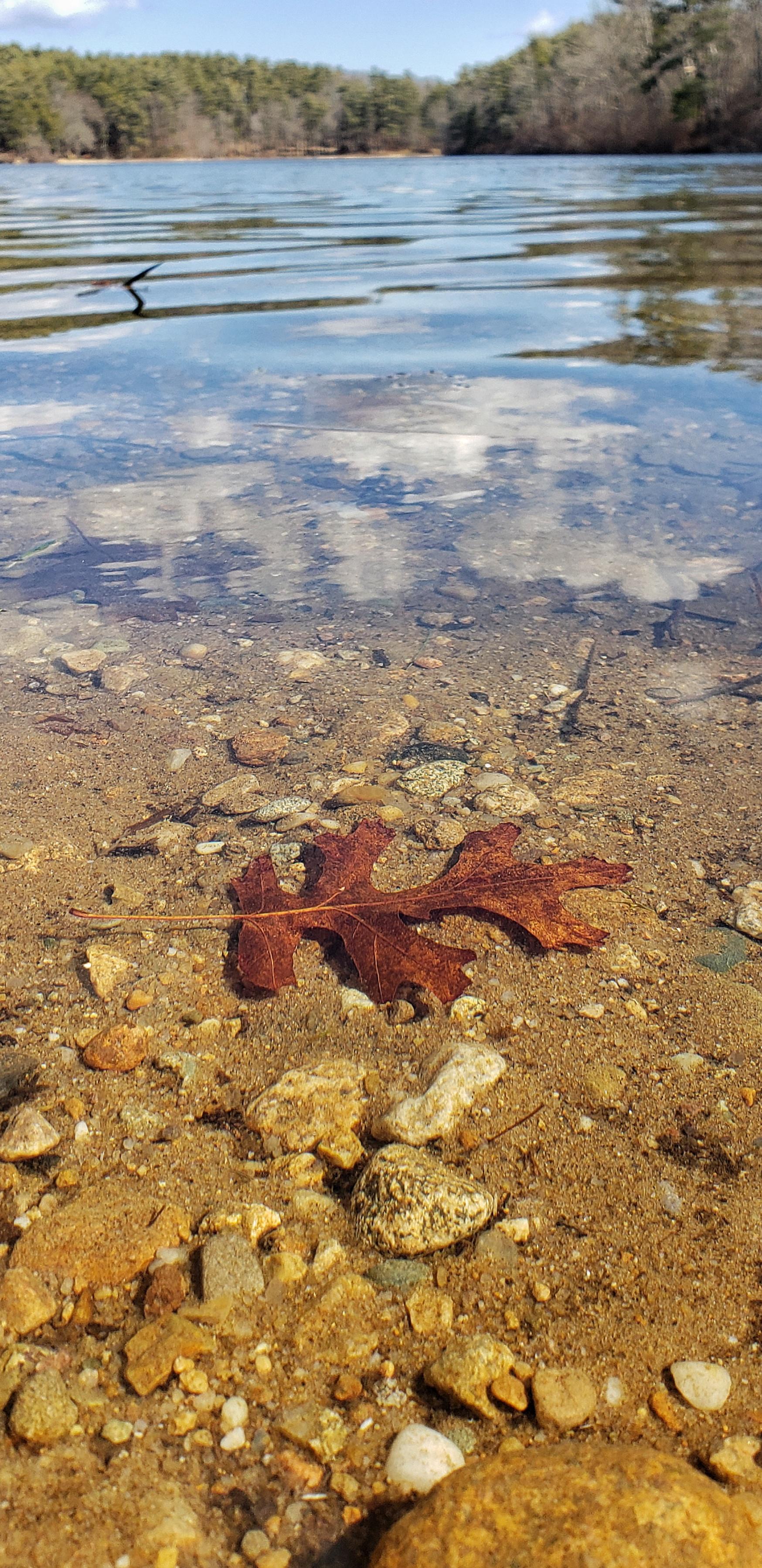 Little Pond, Plymouth. One more walk before heading back to the