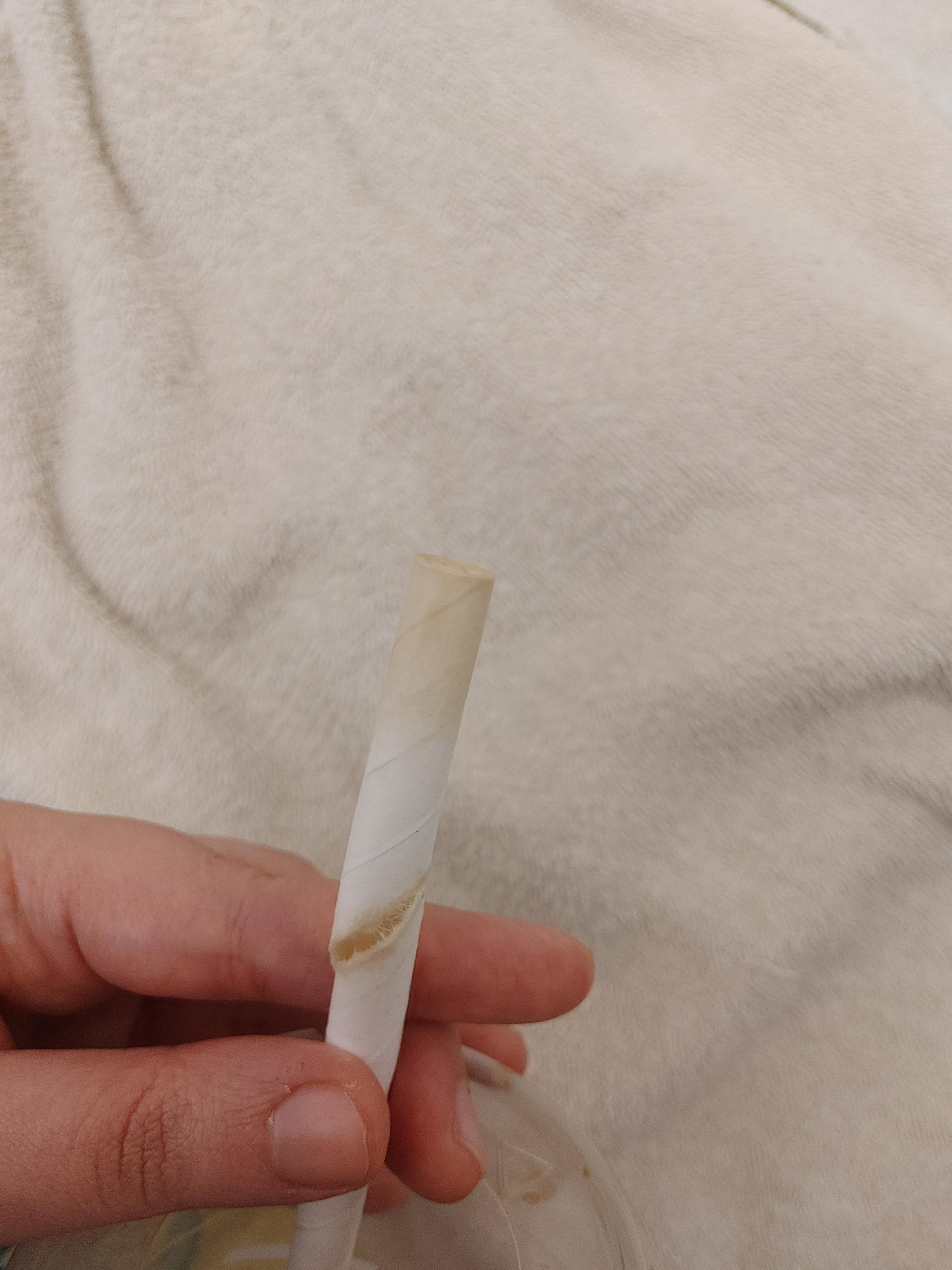 Tim Hortons paper straws... Not only deteriorates quickly but an