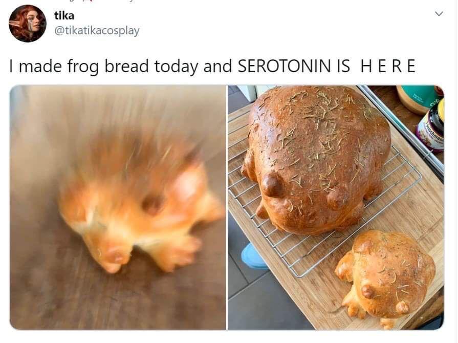 frog bread is yes r/frogs