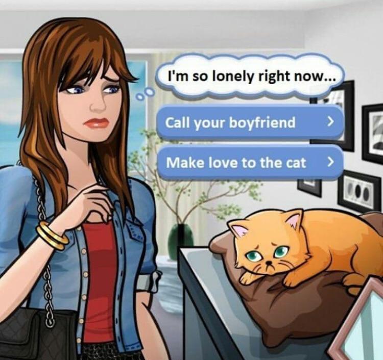 What Happened To Shane Dawsons Cat Cheeto