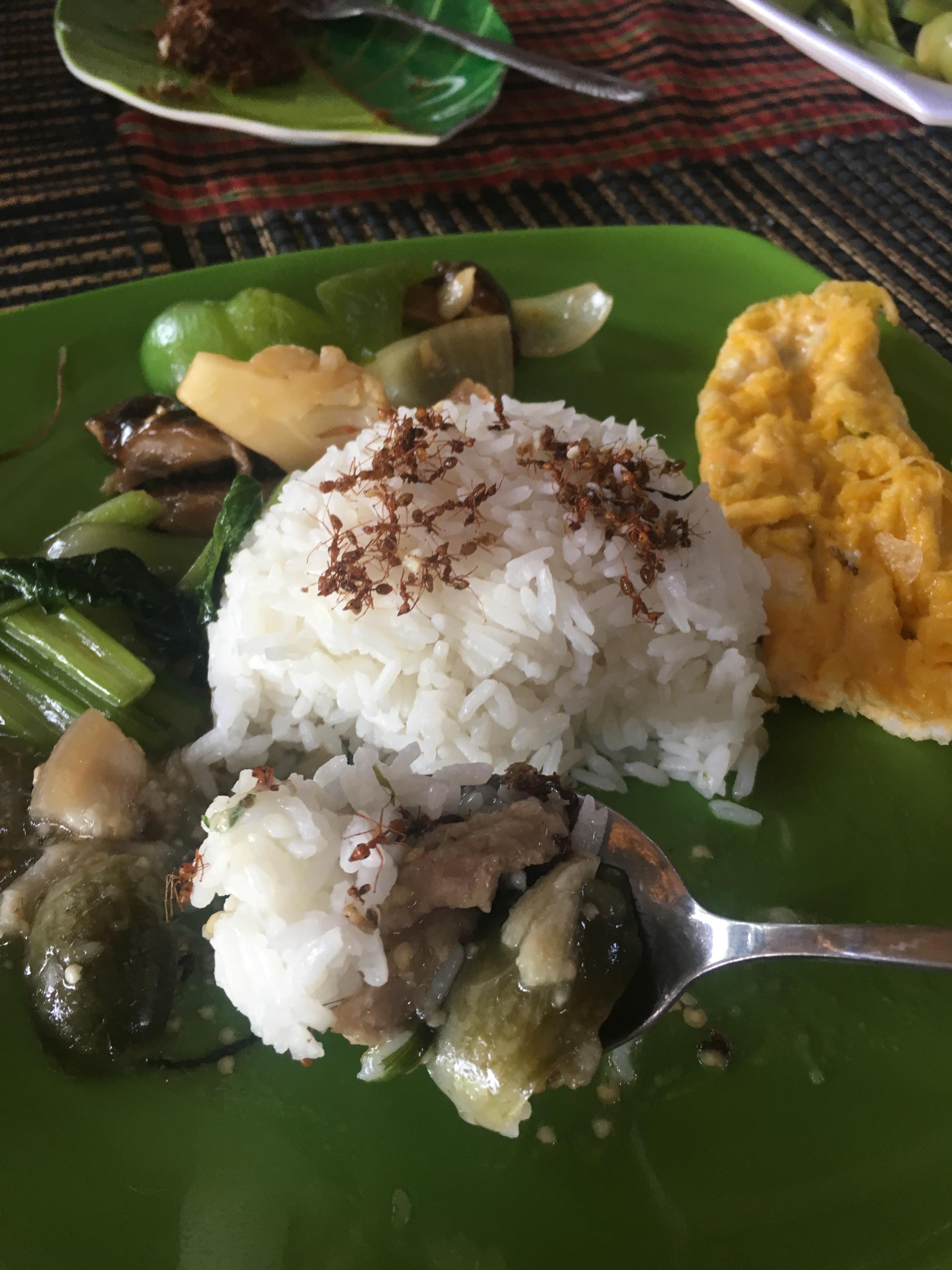 Roasted arboreal ants are used for seasoning in Cambodia. On our meal
