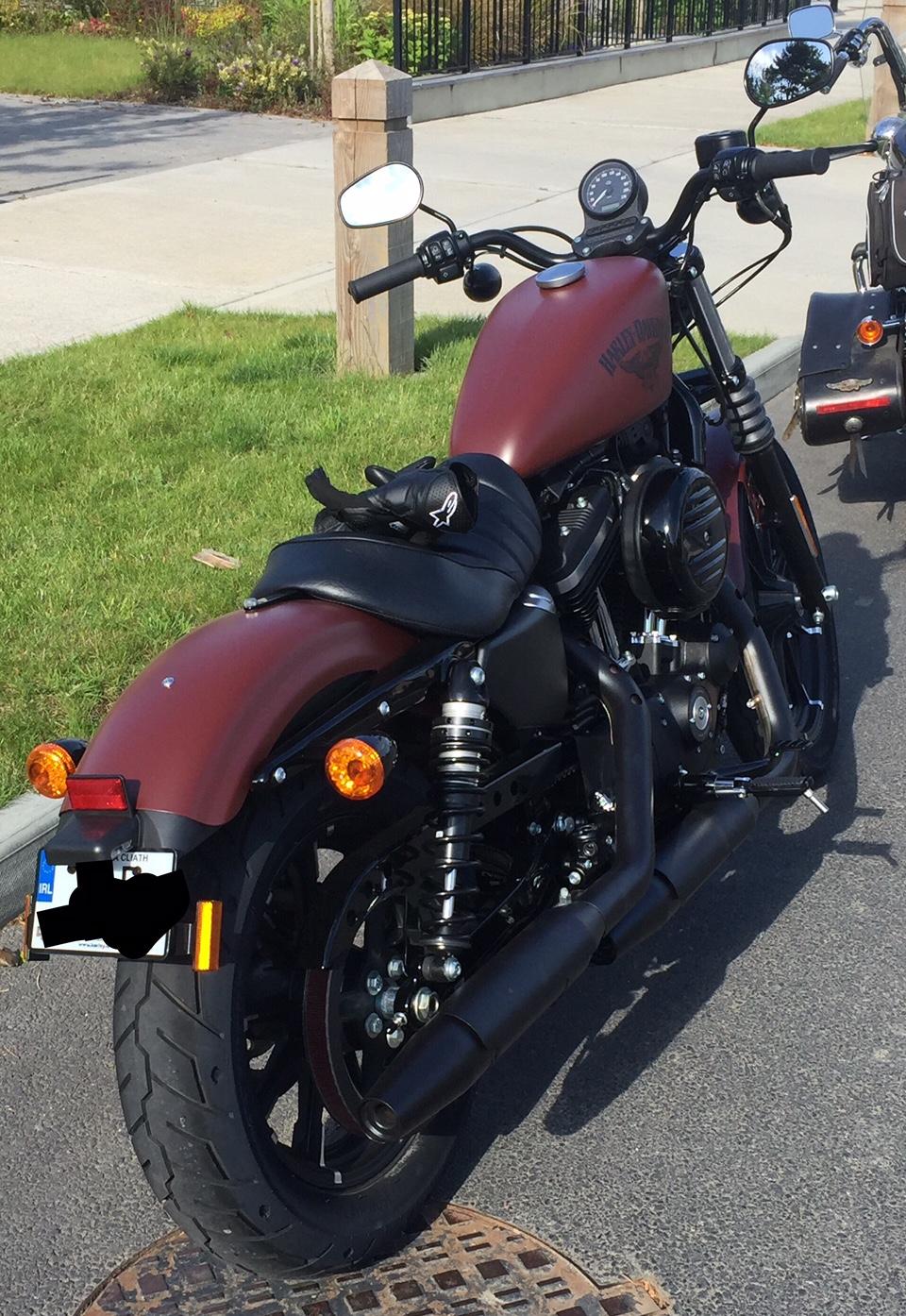 2017 Iron 883 1st Bike and loving it ! r/Harley