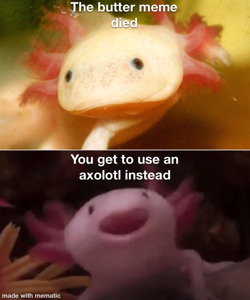 I decided to make a meme out of Axolotls... so here it is