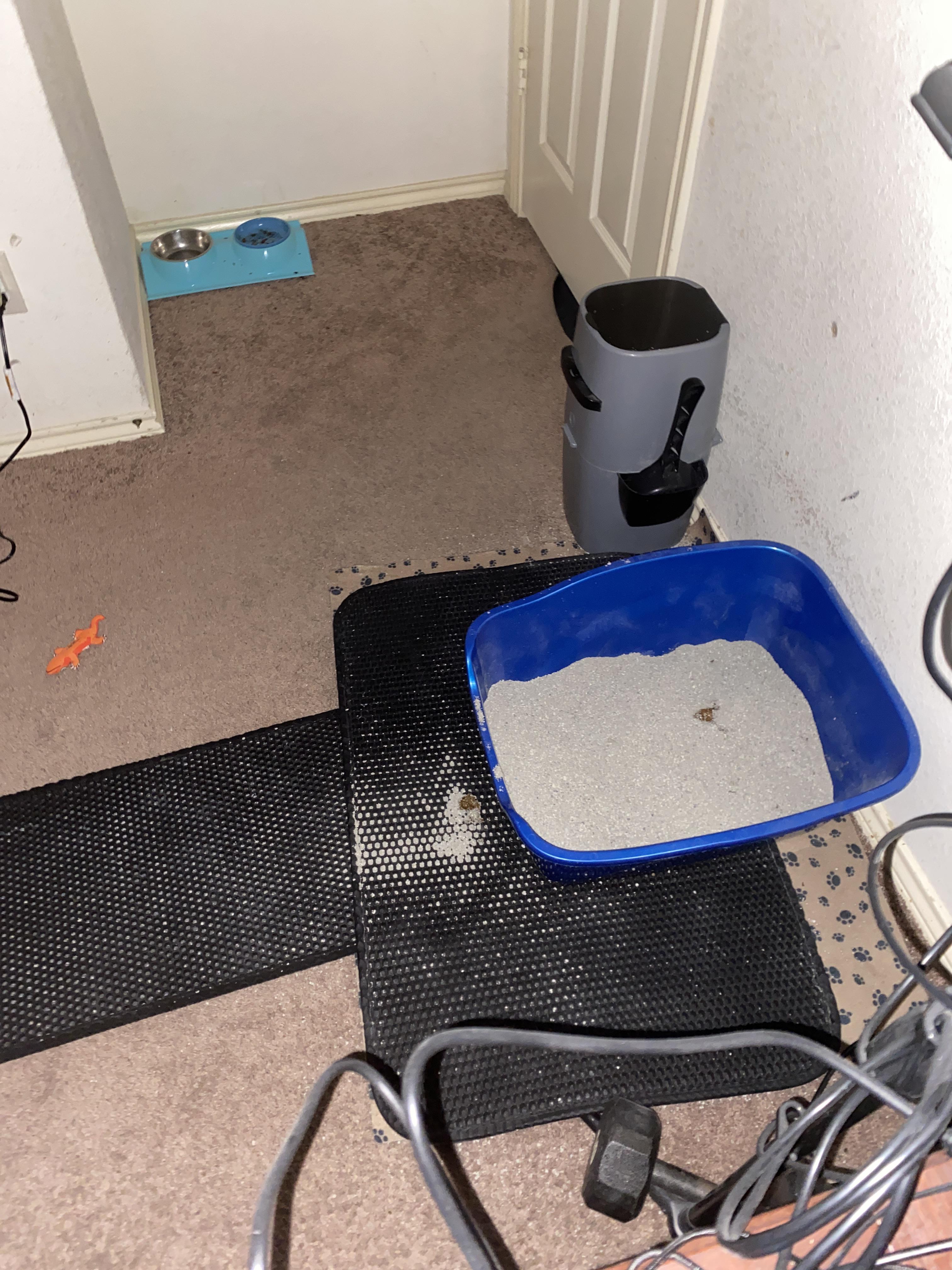 My cat is standing on the short side of the litterbox and scooping