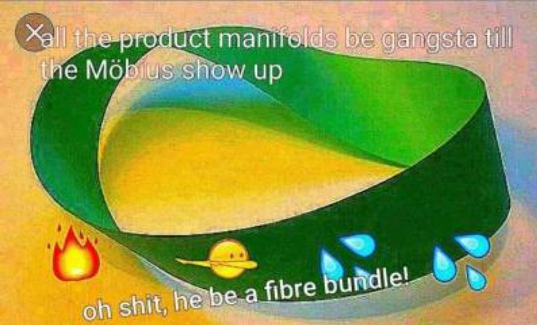 Deep fried differential geometry r/mathmemes