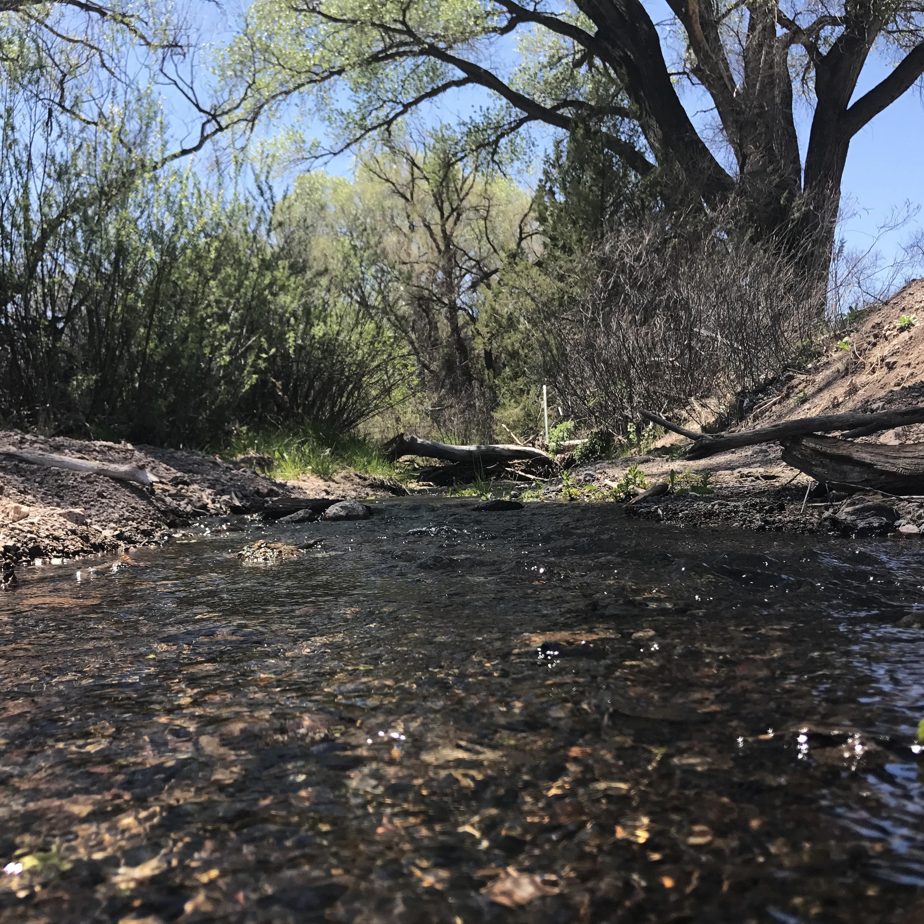Mule Creek, New Mexico, USA r/RiverPorn