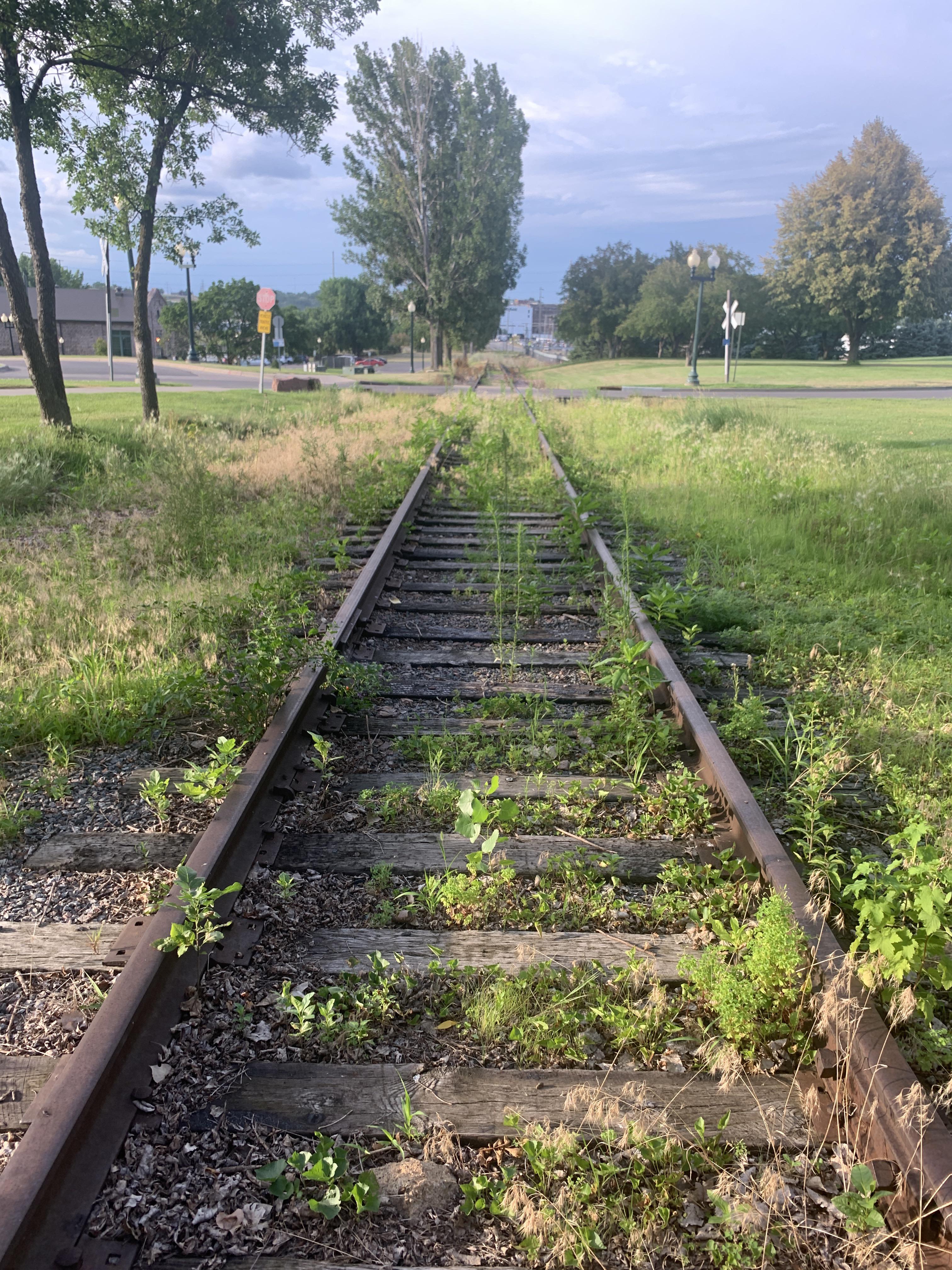 Abandoned train tracks in a town in South Dakota. r/reclaimedbynature