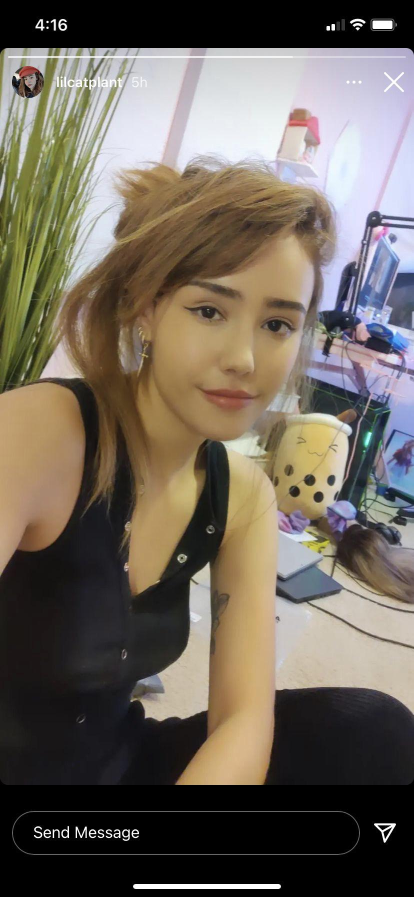 Catplant Asmr Age – Telegraph