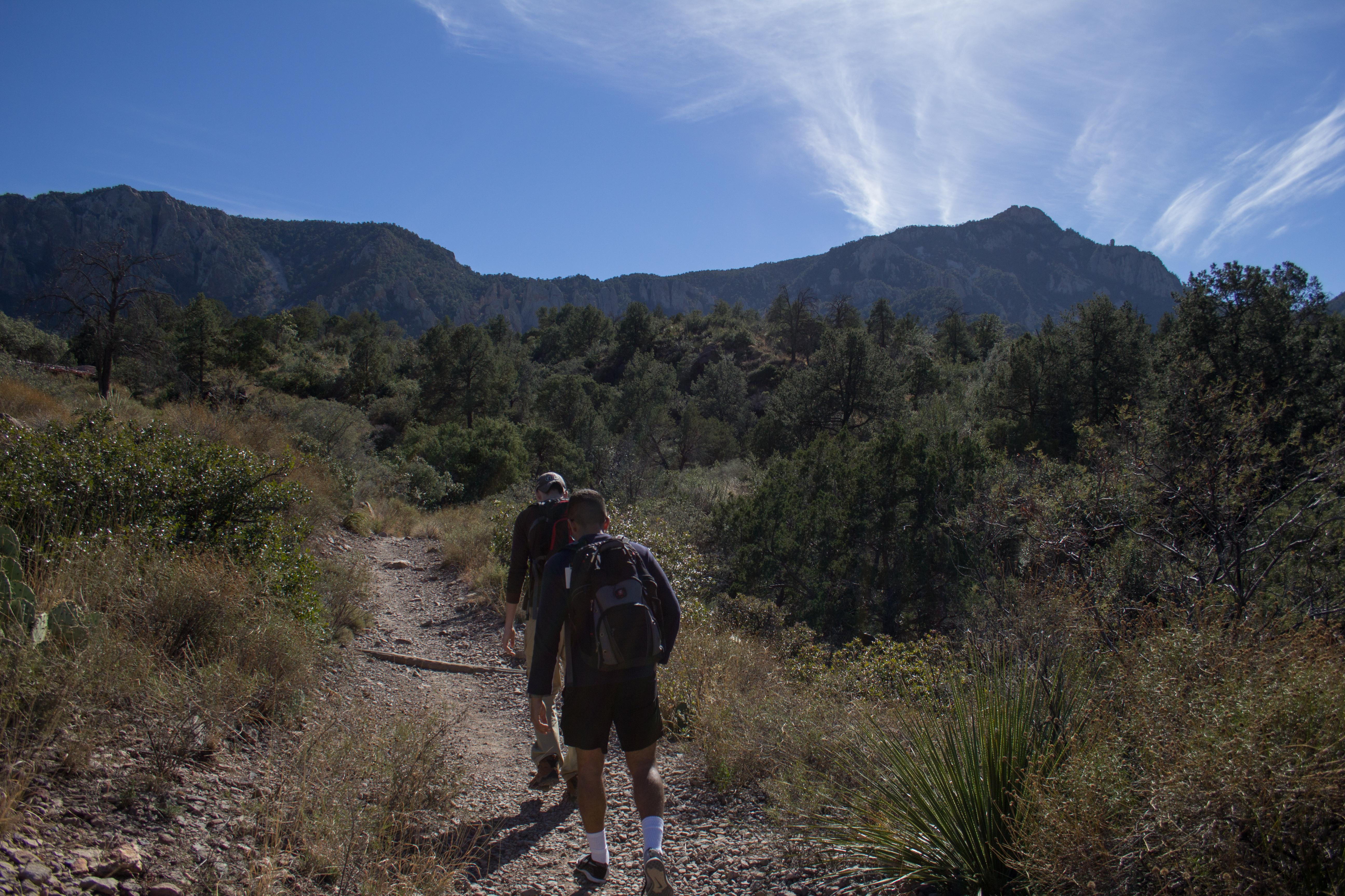 Hiking in the Chisos. Big Bend National Park, Texas r/texas