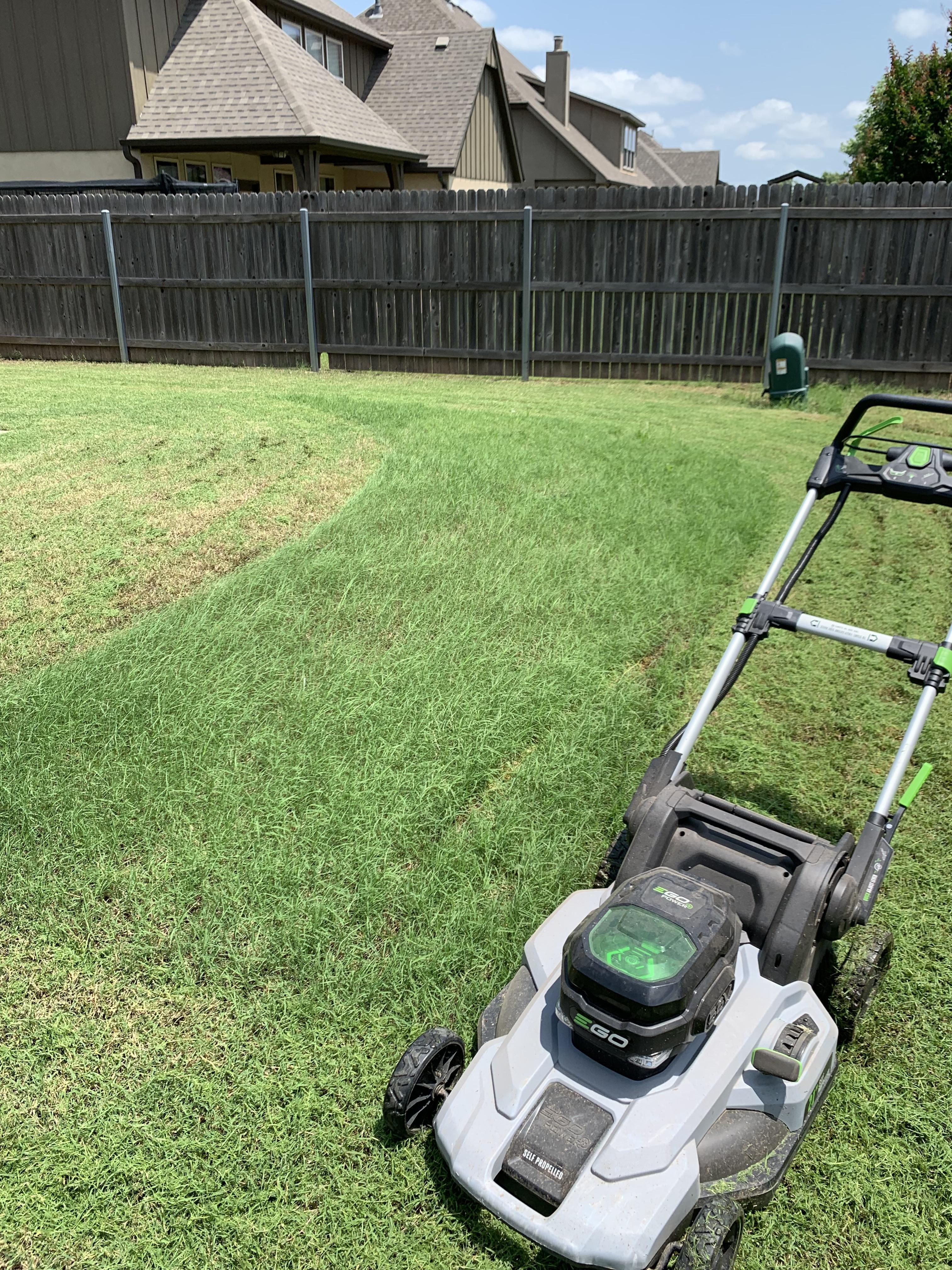 Electric lawn mower died with this much grass left. r/Wellthatsucks